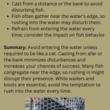 Dry Fly Tactics for Selective Trout eBook | Fly Fishing Insider Podcast