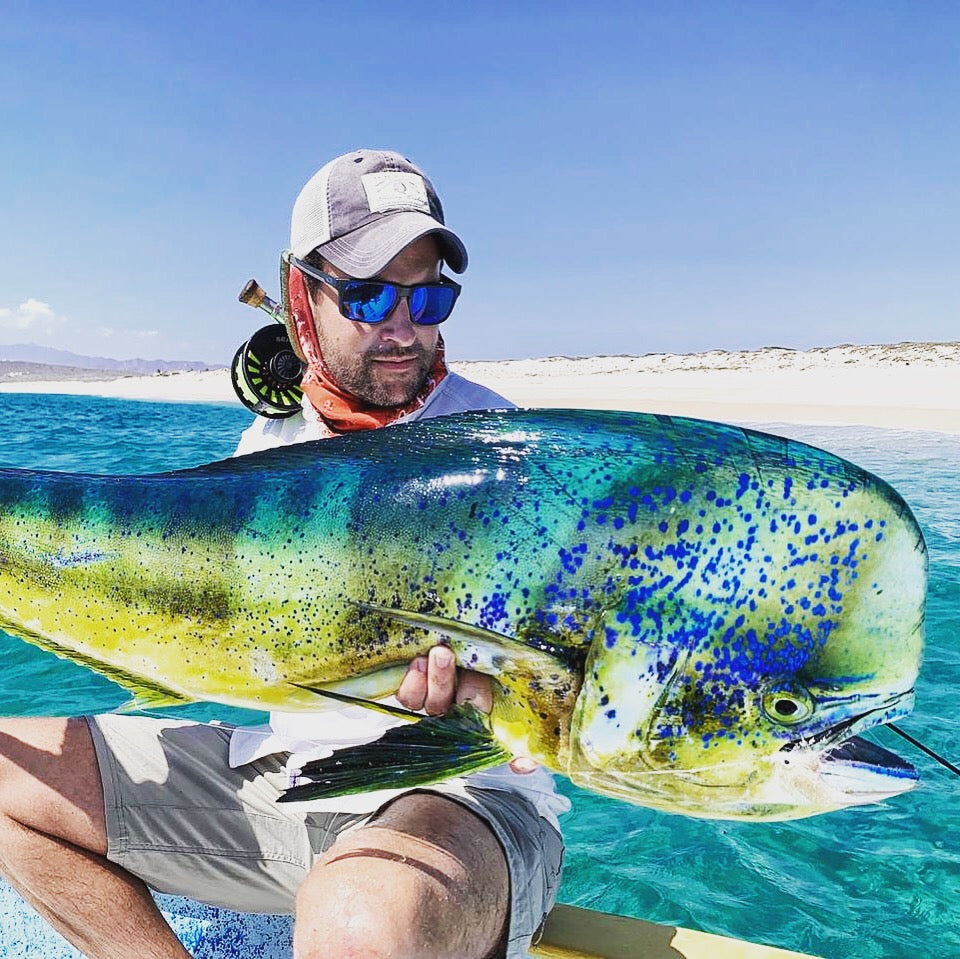 A spectacular Mahi Mahi caught Fly Fishing in Baja