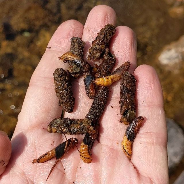 How to Fish a Caddis Fly | Fly Fishing Insider Podcast