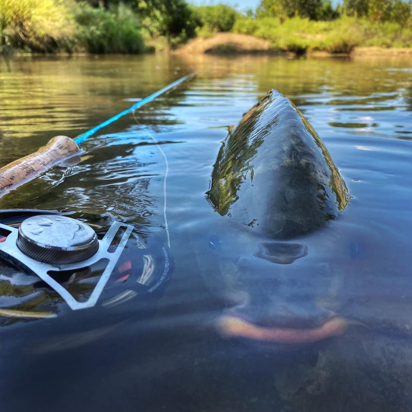 Carp on the Fly with Odom Wu and His Journey: From Laos to Fly Fishing Mastery | Fly Fishing Insider Podcast