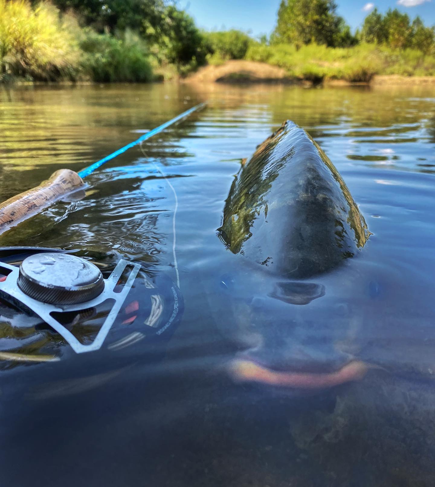 Carp on the Fly with Odom Wu and His Journey: From Laos to Fly Fishing Mastery | Fly Fishing Insider Podcast