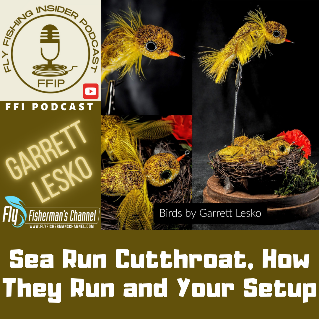 Sea Run Cutthroat, How They Run and Your Setup - Fly Fishing Insider Podcast episode artwork