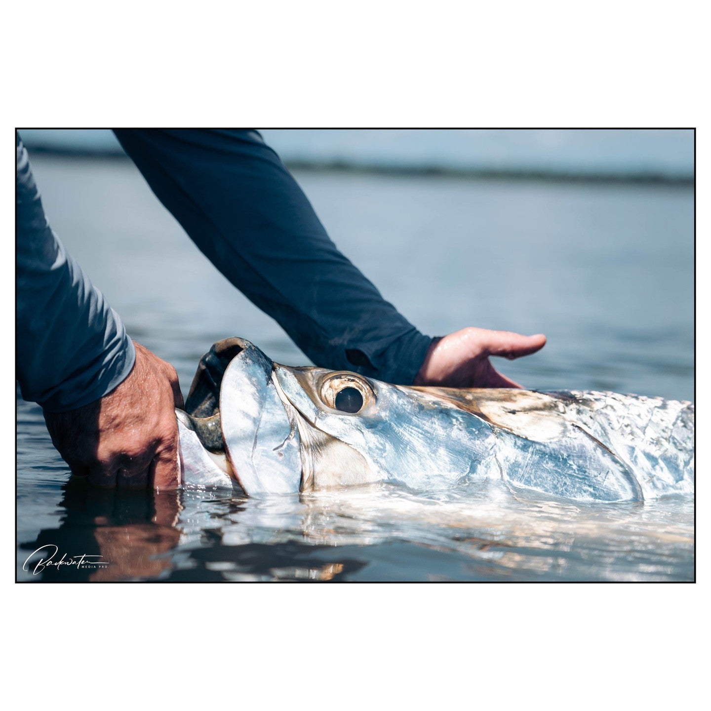 Tarpon in Costa Rica by Jesse Males
