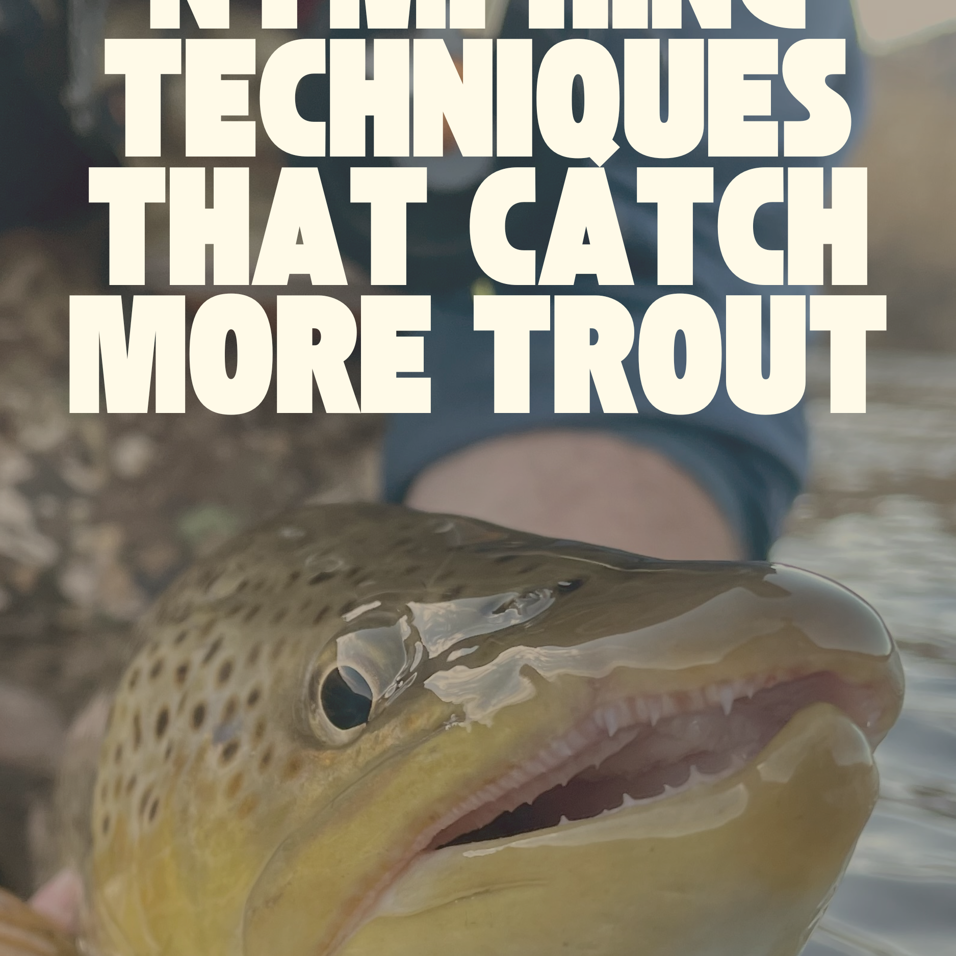 7 Euro Nymphing Techniques That Catch More Trout | Fly Fishing Insider Podcast, Blog, and Shop