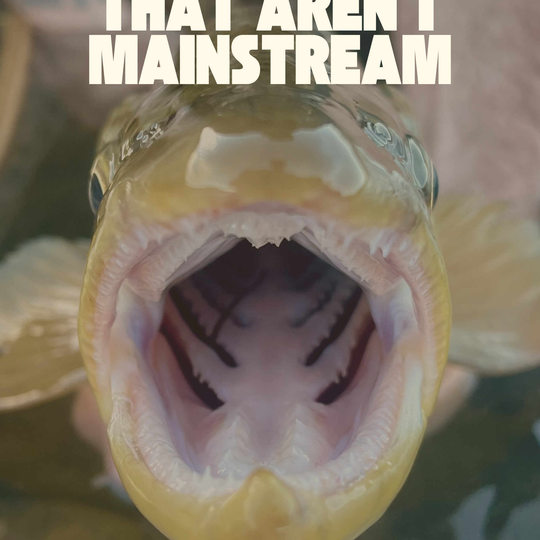 8 Best Fly Fishing Vests & Packs that Aren't Mainstream: Chest, Sling & Hip | Fly Fishing Insider Podcast