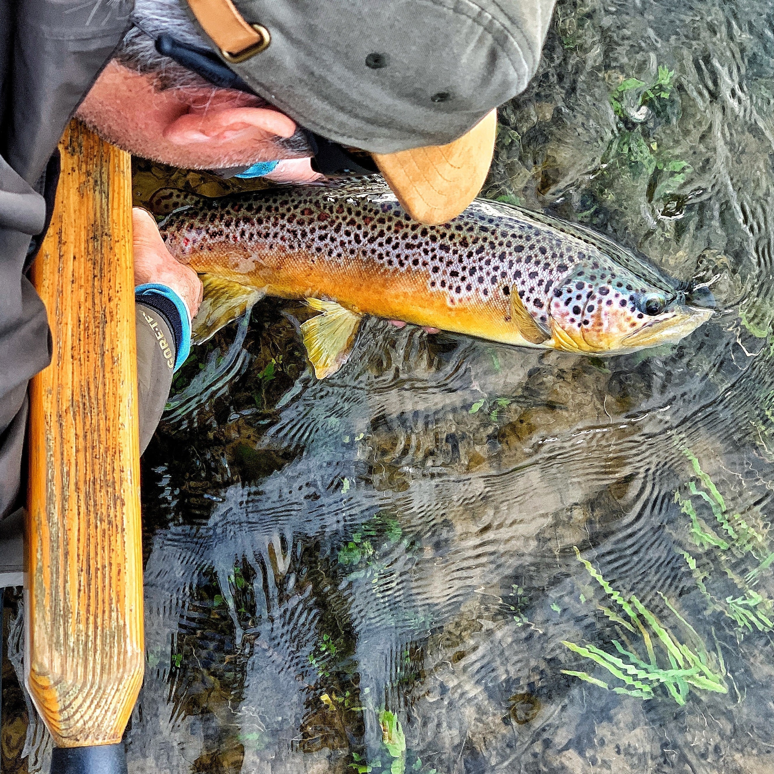 White River Fly Fishing Guide - Trophy Trout in Arkansas | Tips & Tactics | Fly Fishing Insider Podcast and Blog