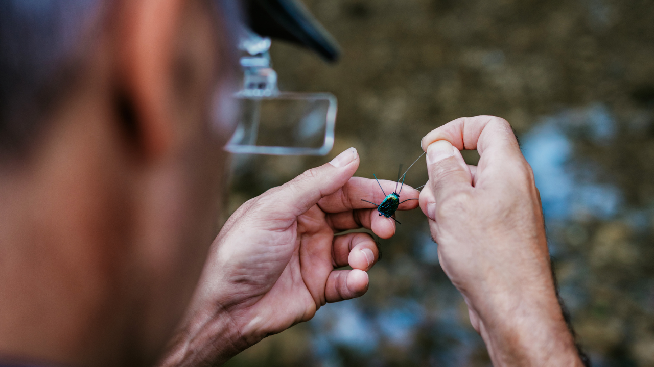 YouTube for Beginner Fly Fishing