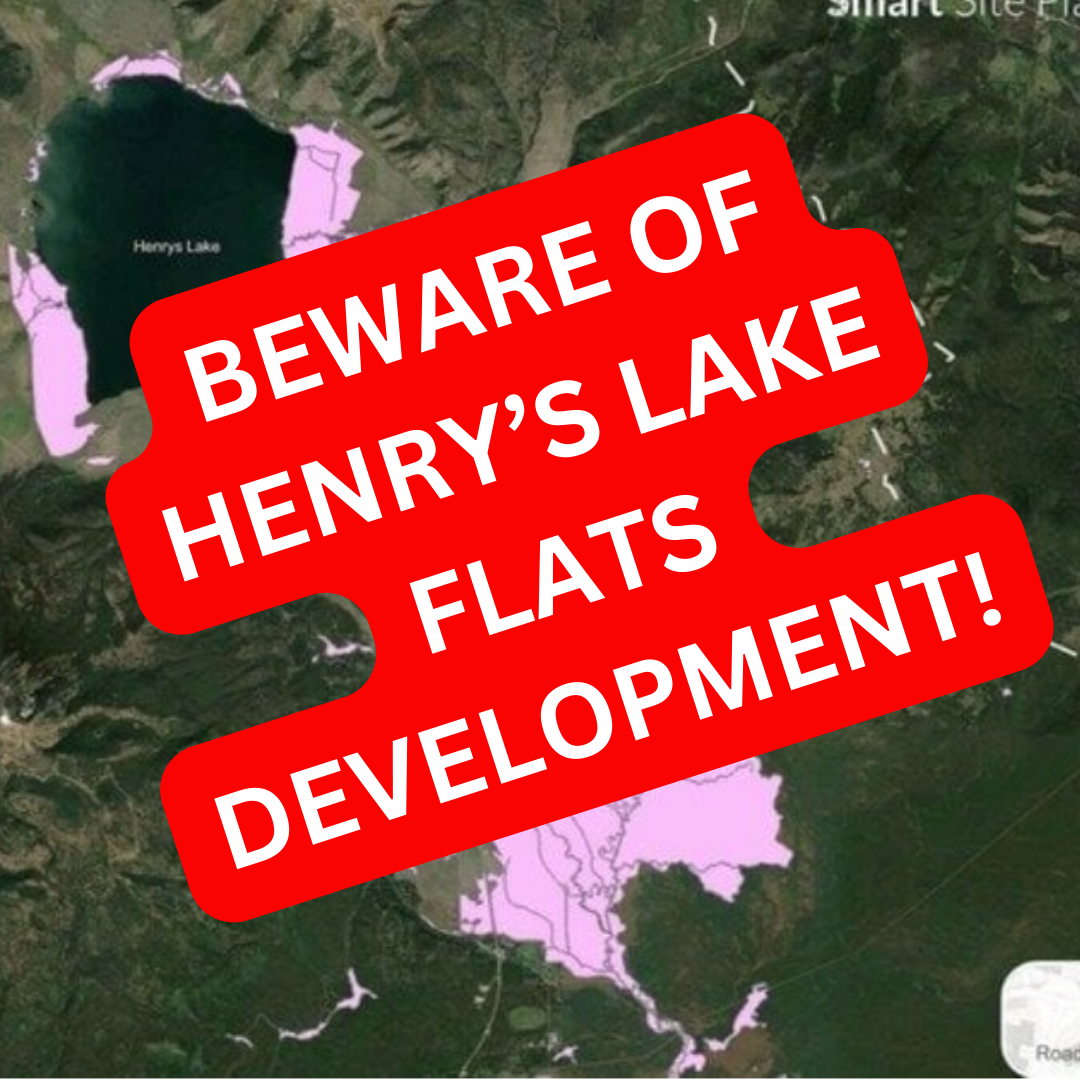 Conservation in Idaho - Henry's Lake Flats and More