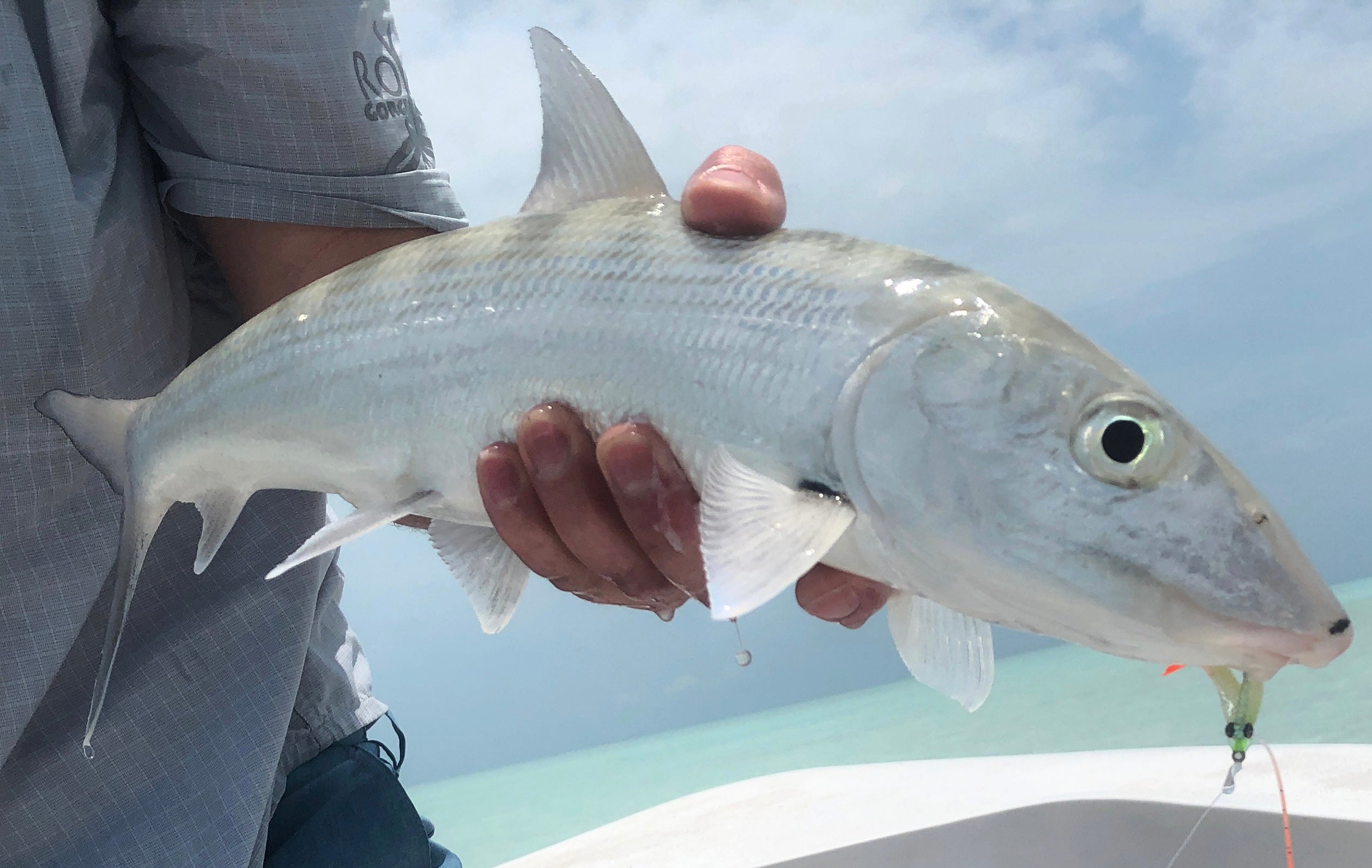 Fly Fishing in Belize, and San Pedro's Hidden Gem Known as The Iguana House Belize | Fly Fishing Insider Podcast