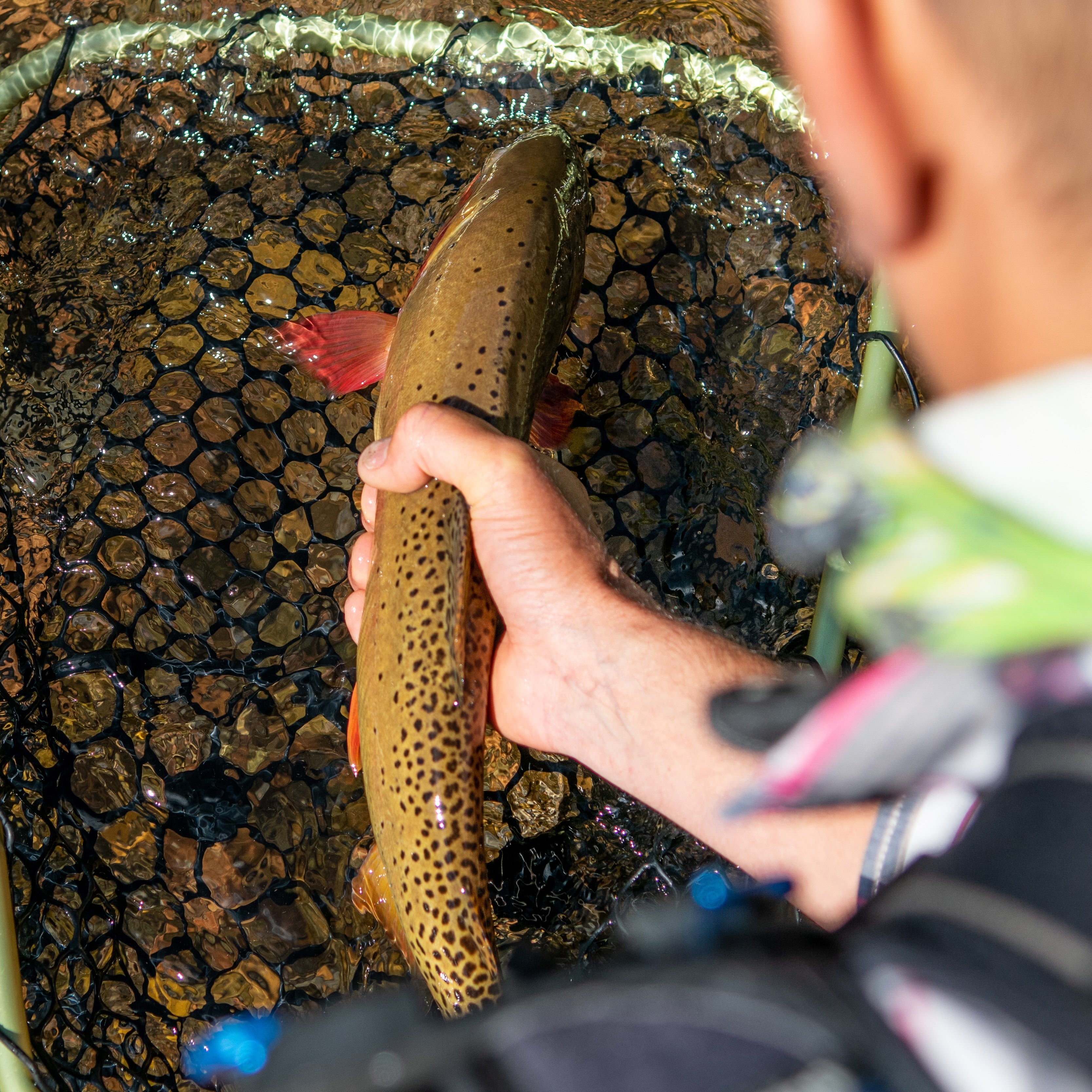 Become a better angler when fly fishing