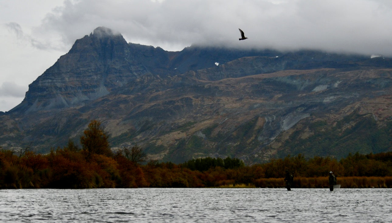 Fly Fishing in the Wind