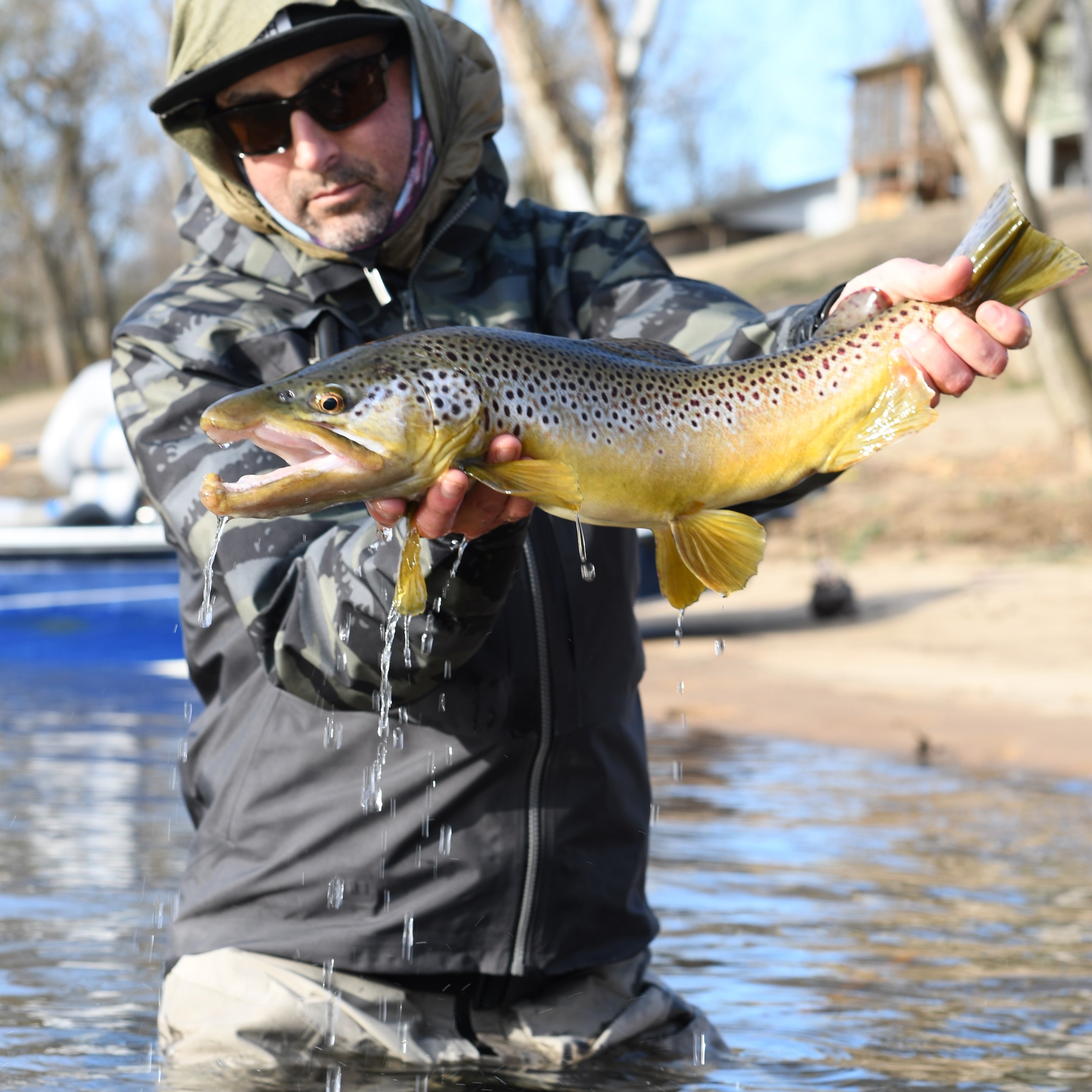 A White River Brown Trout, caught while fly fishing with streamers.