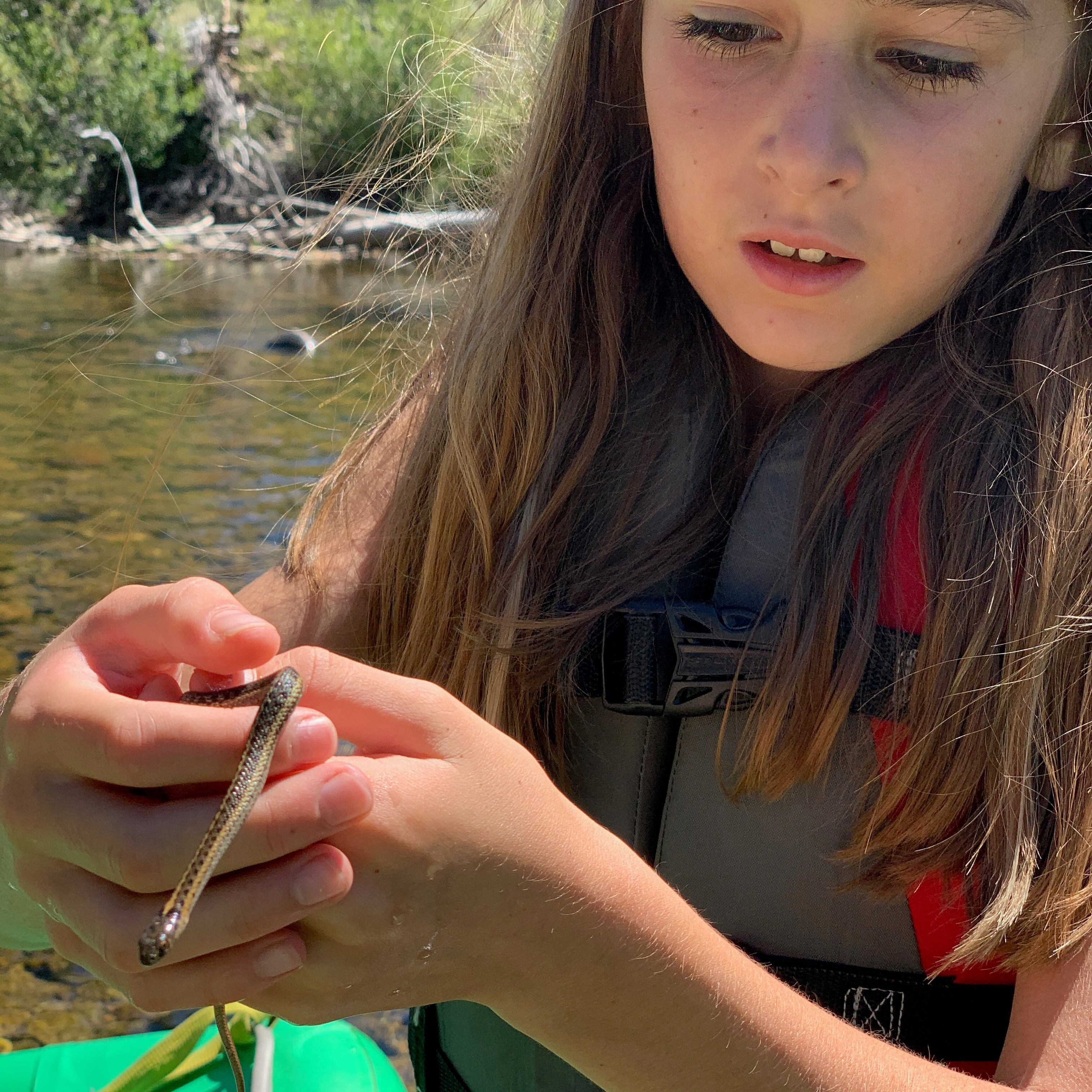 A kid exploring the riverbank and finding wildlife while fishing