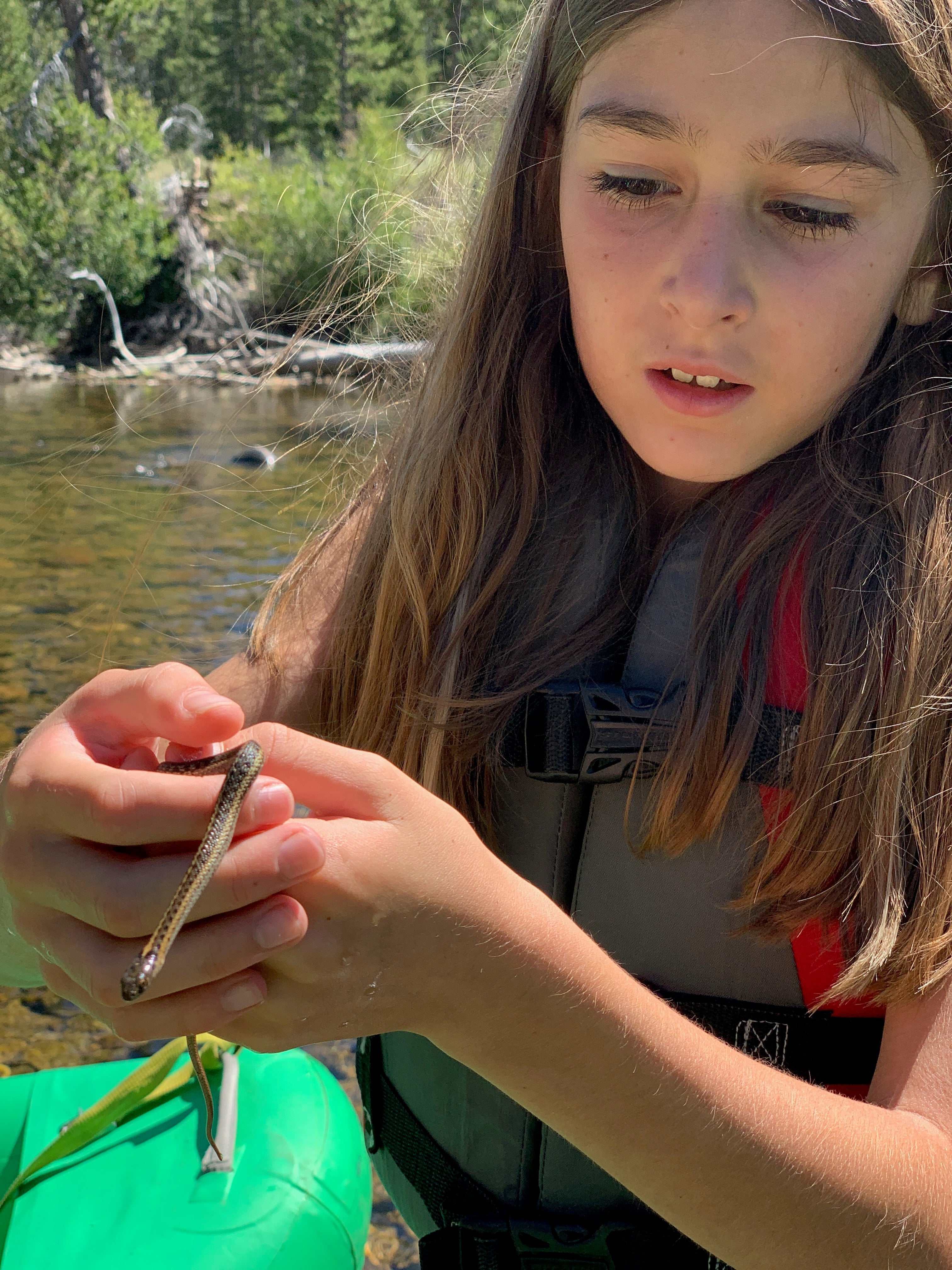 A kid exploring the riverbank and finding wildlife while fishing