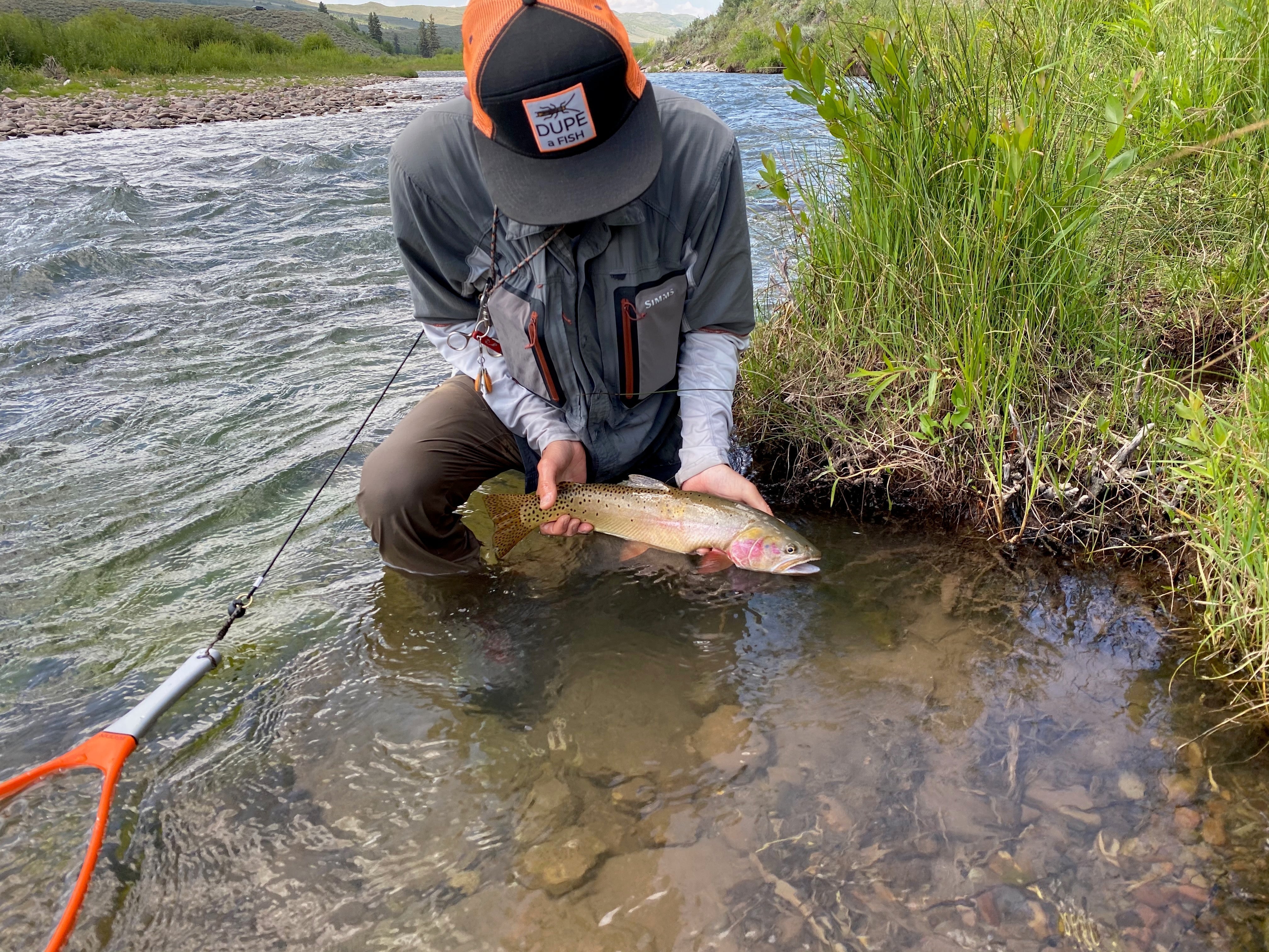 Fly Fishing