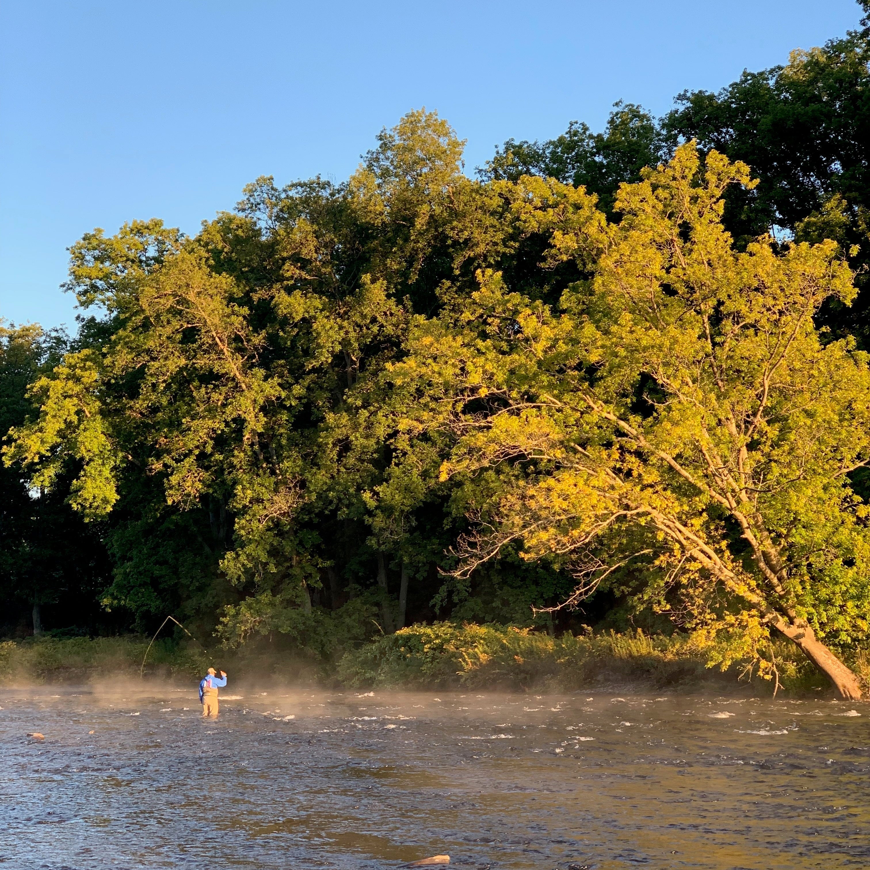 Traditional Indicator Nymphing: Master Strike Detection and Depth Control | Fly Fishing Insider Podcast