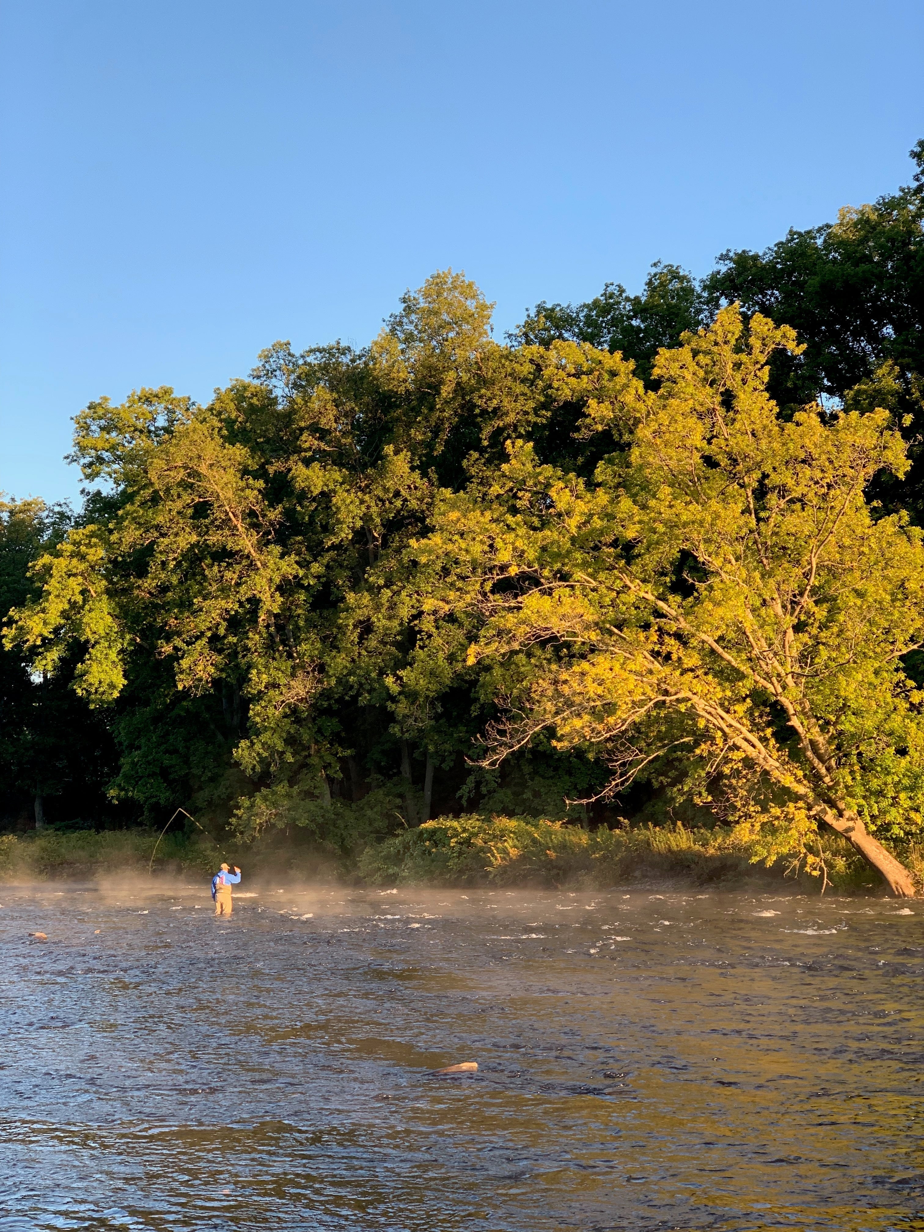 Traditional Indicator Nymphing: Master Strike Detection and Depth Control | Fly Fishing Insider Podcast