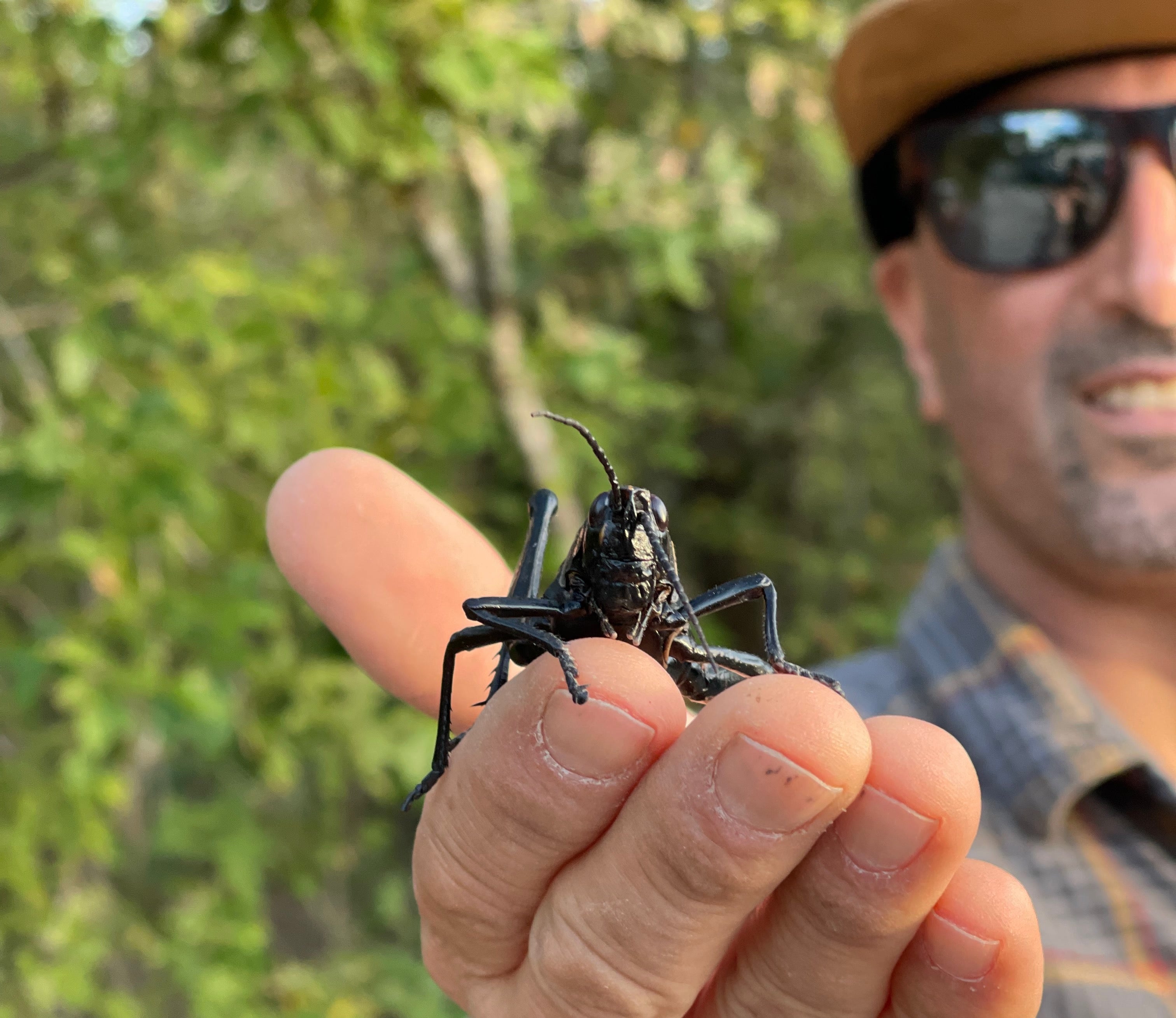 Terrestrial Dry Fly Fishing Mastery: Ants, Beetles, and Hopper Techniques | Fly Fishing Insider Podcast, Blog and Shop