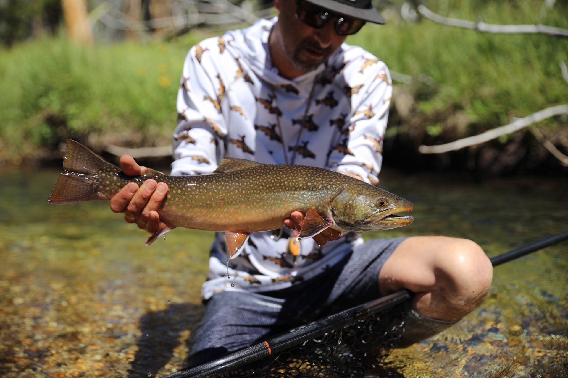 Top 10 Fly Fishing Rivers/Lakes in Idaho and Why to Go | Fly Fishing Insider Podcast