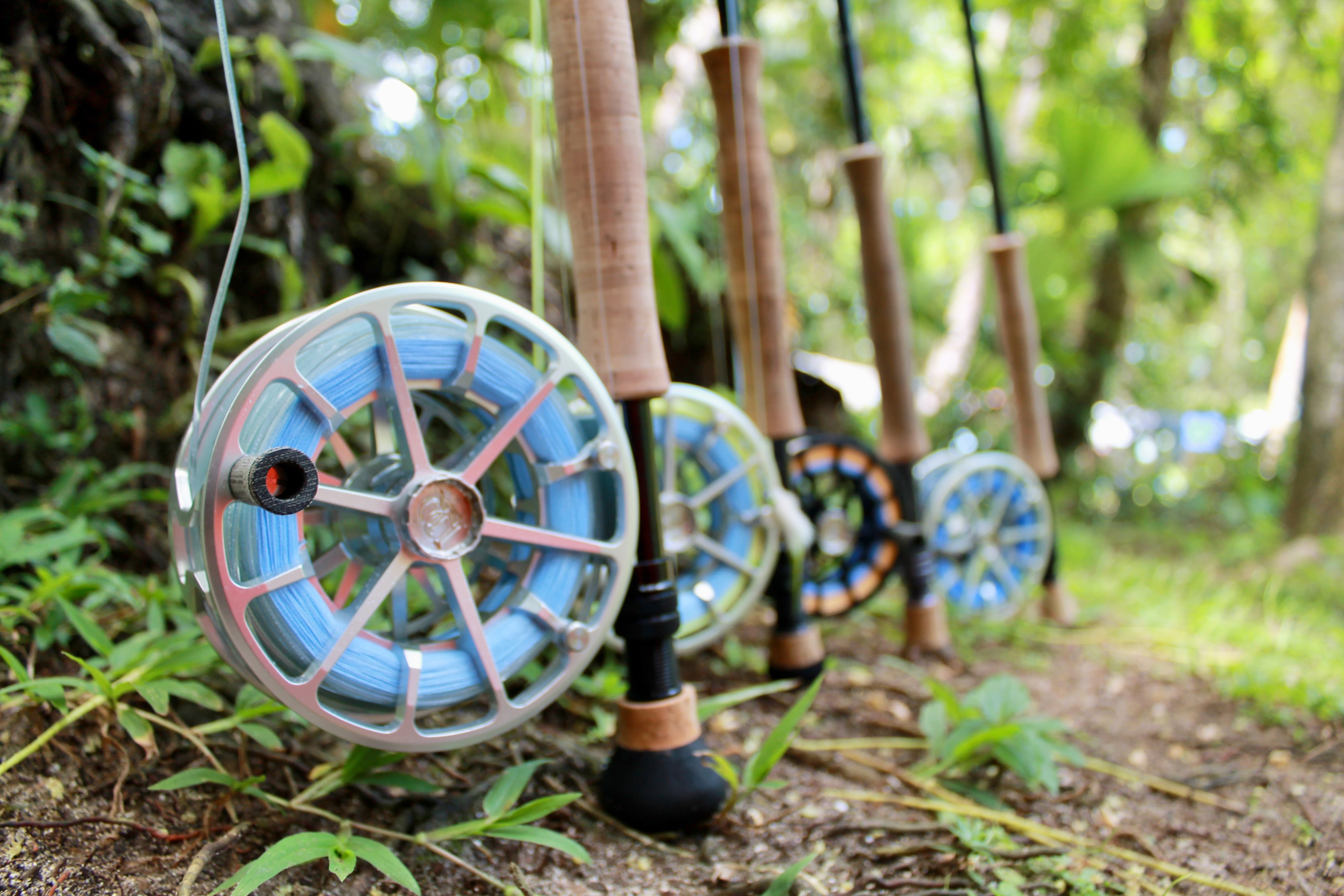 How to Buy Used Reels
