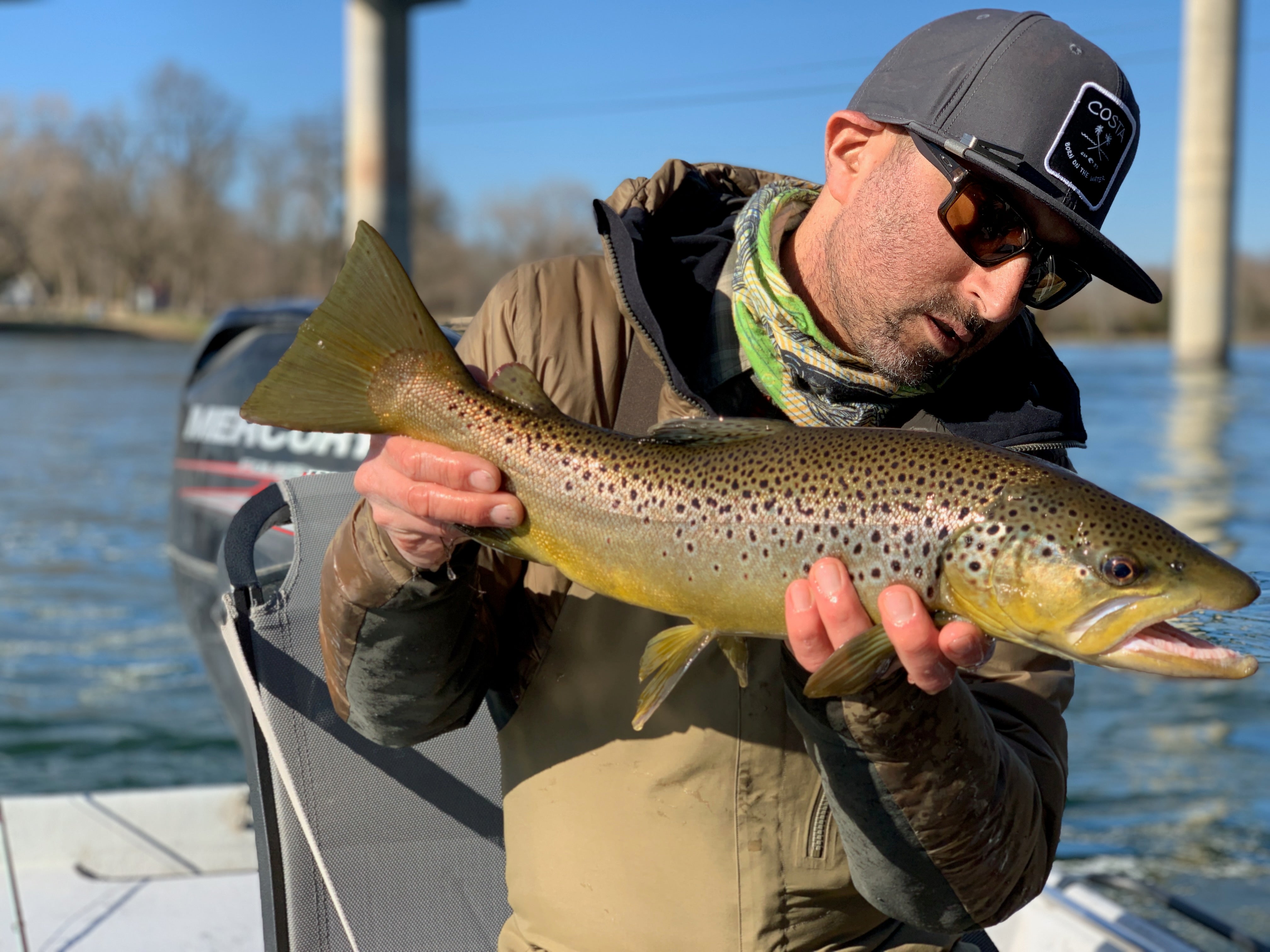 Brown Trout from the White River in Arkansas