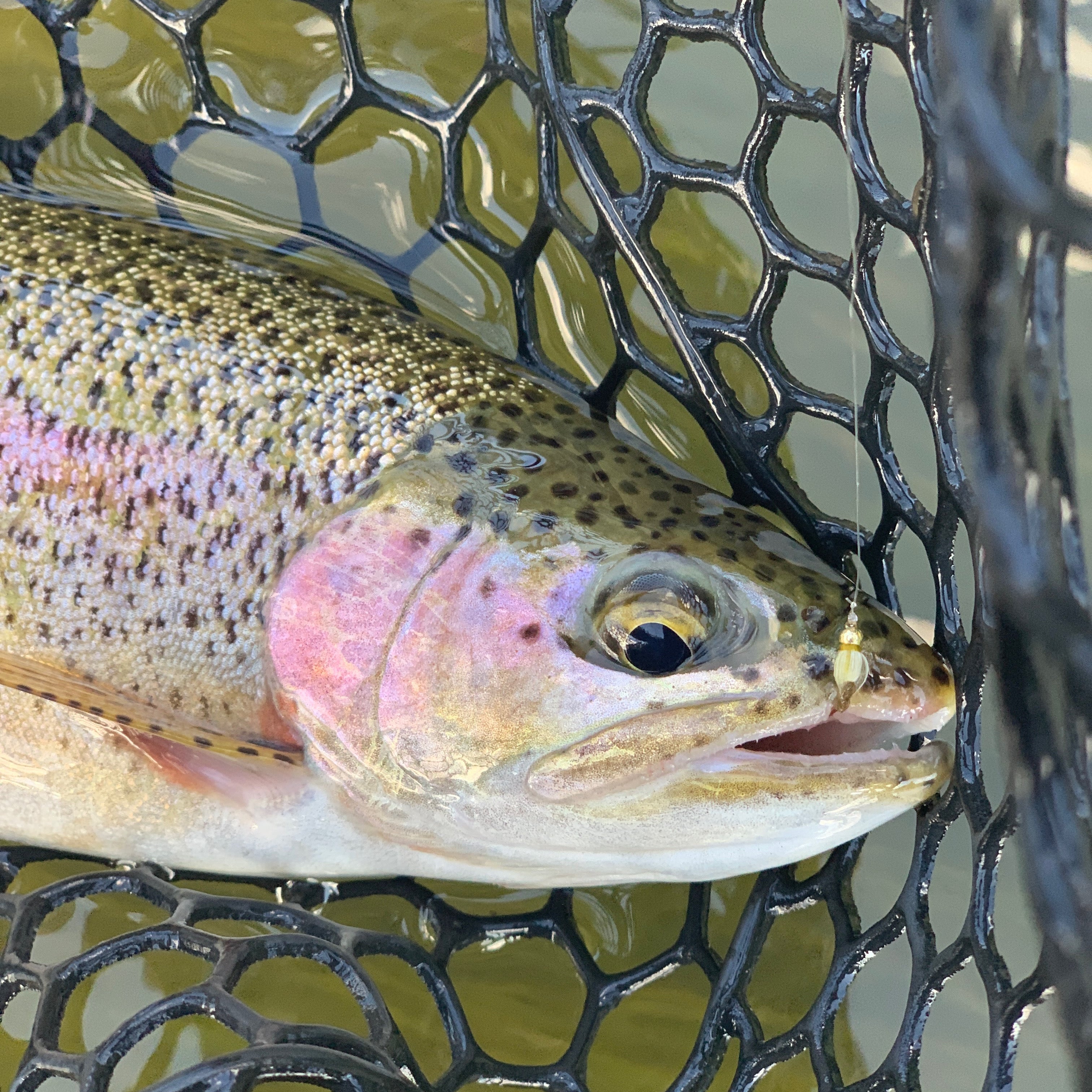 Address the number one mistake of fly fishing and get deep