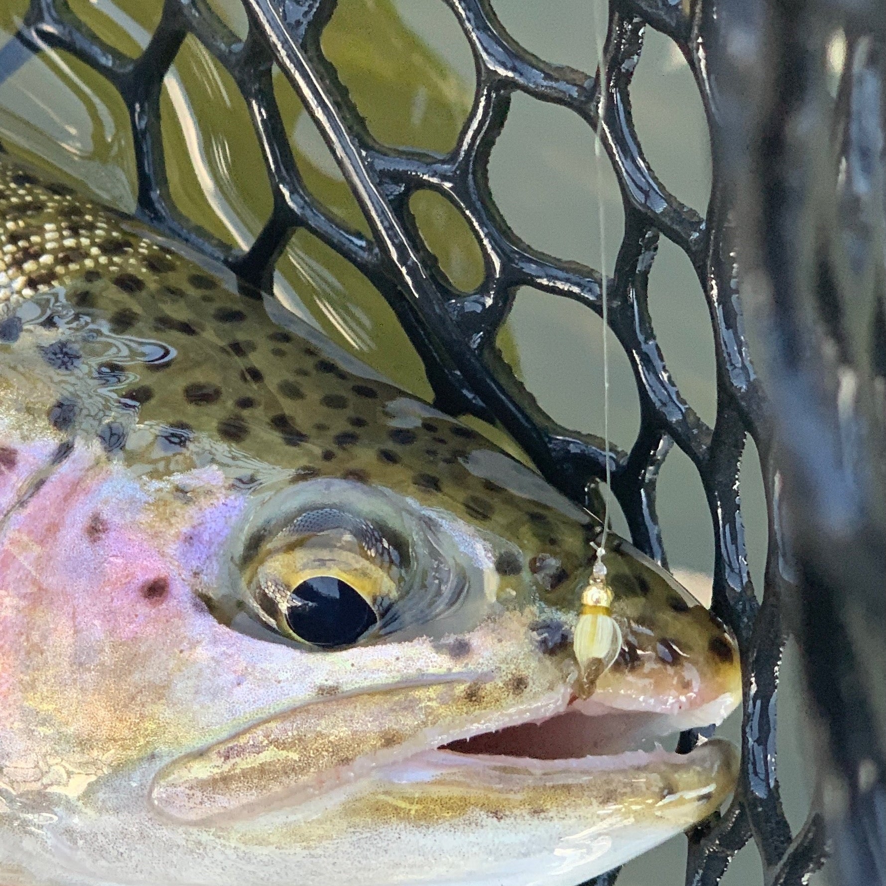 High Stick Nymphing