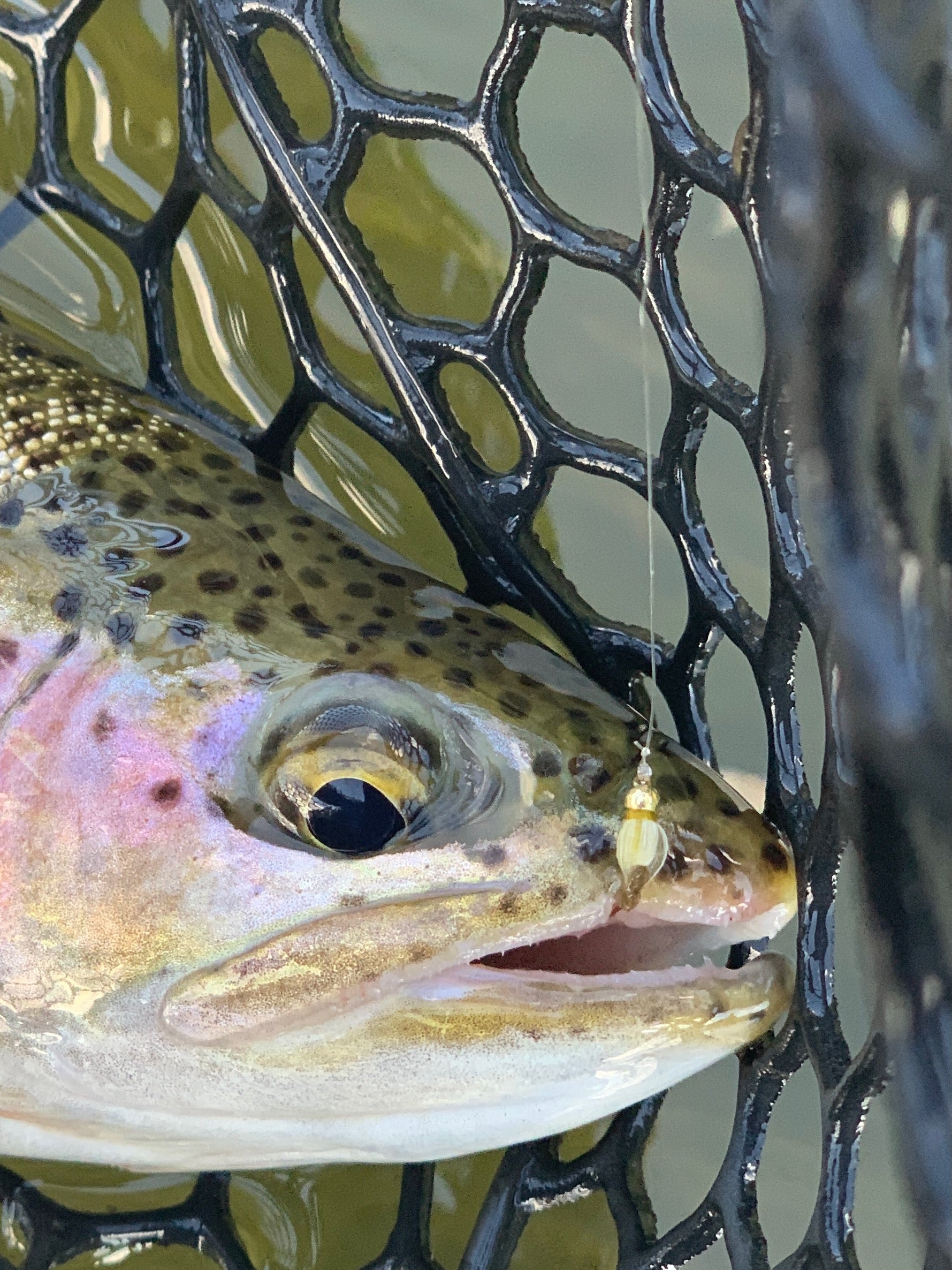 High Stick Nymphing