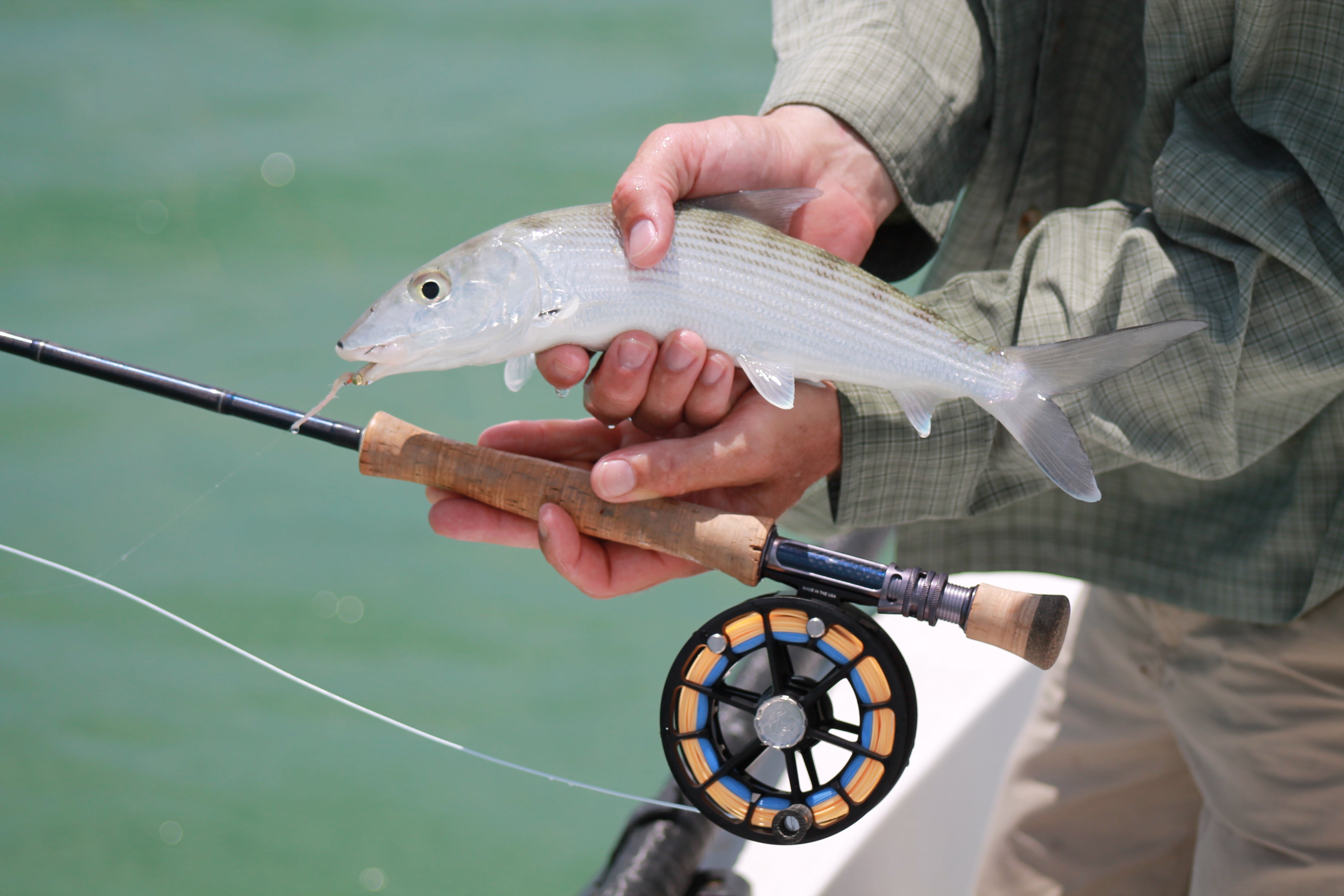 Bonefish: A Mysterious and Alluring Catch for Fly Fishing | Fly Fishing Insider Podcast