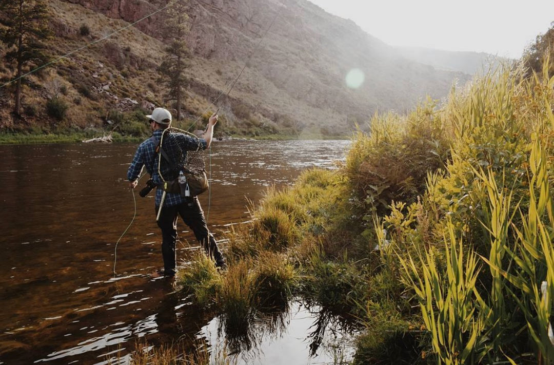 8 Step Guide to Better Beginner Fly Casting | Fly Fishing Insider Podc ...