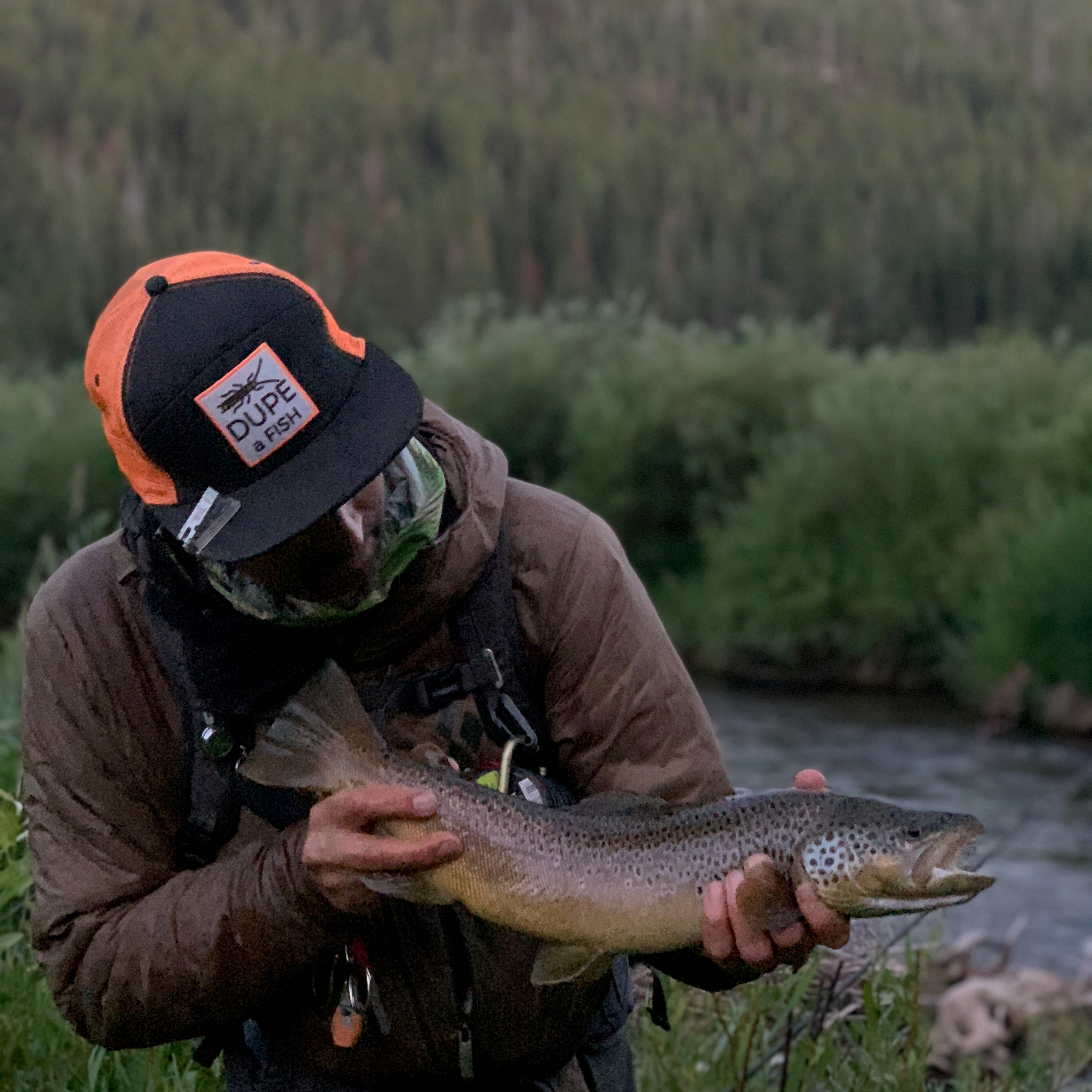 Spring Runoff Trout Behavior and Where Do They Sit 