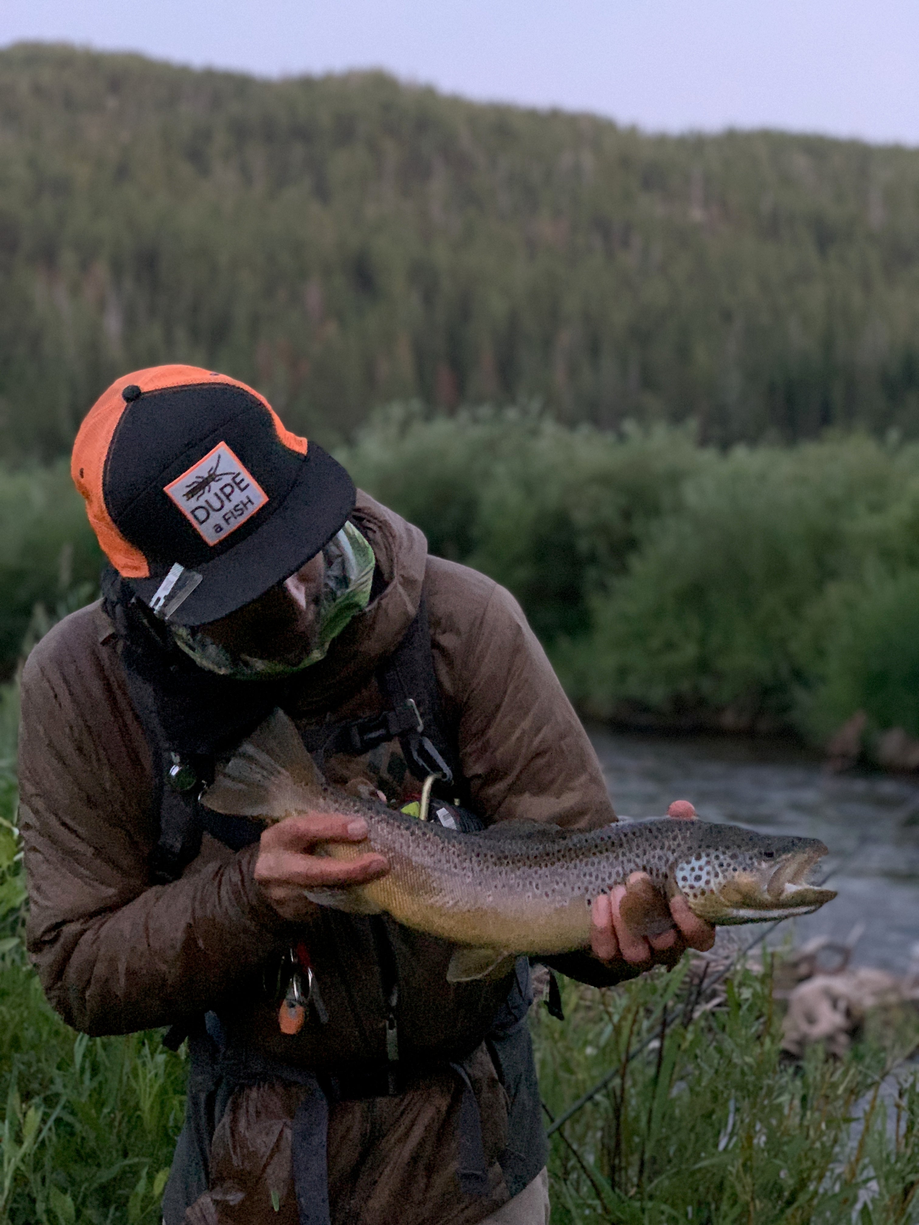 Spring Runoff Trout Behavior and Where Do They Sit 