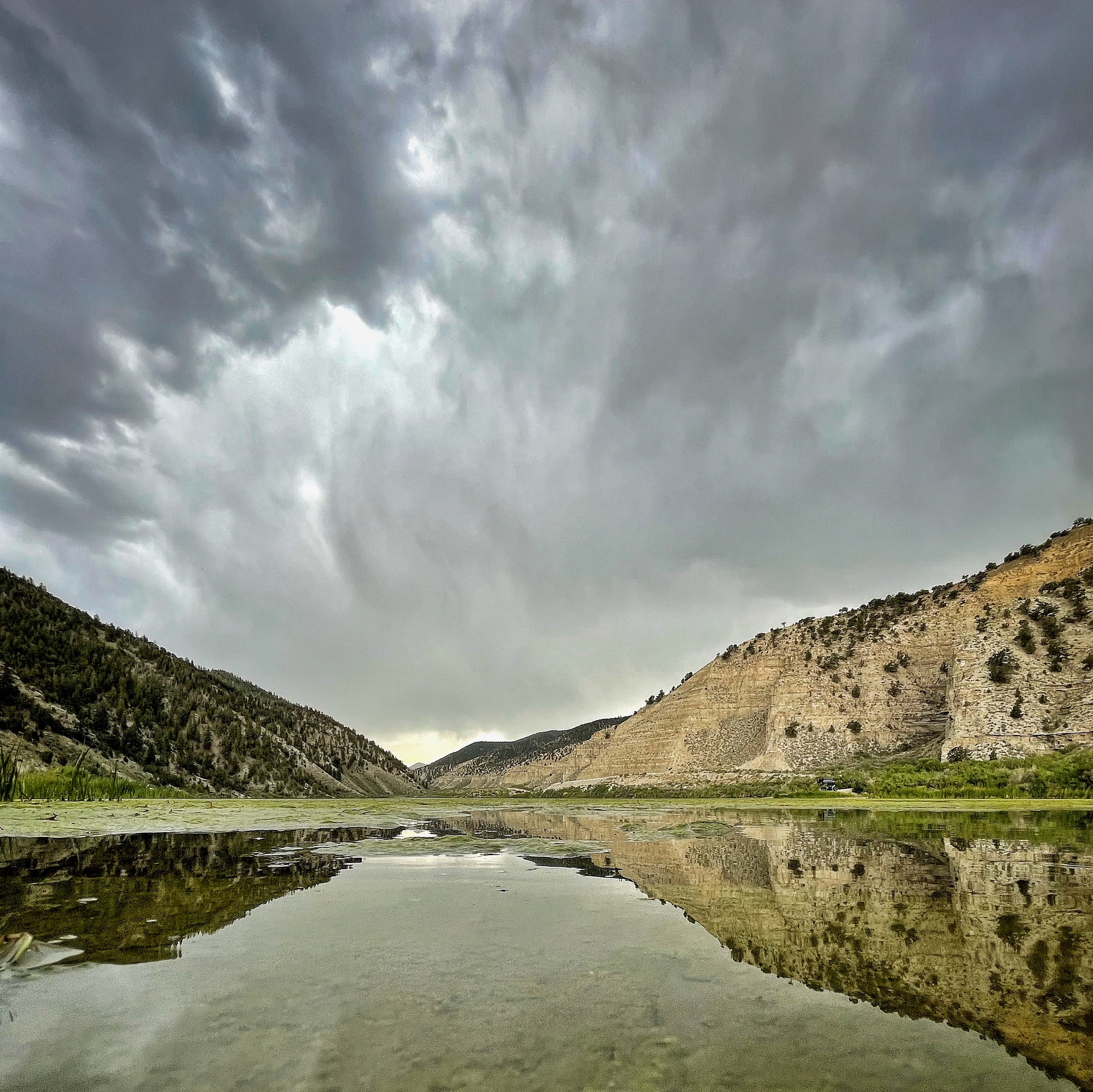 Beginner Fly Fishing Tips