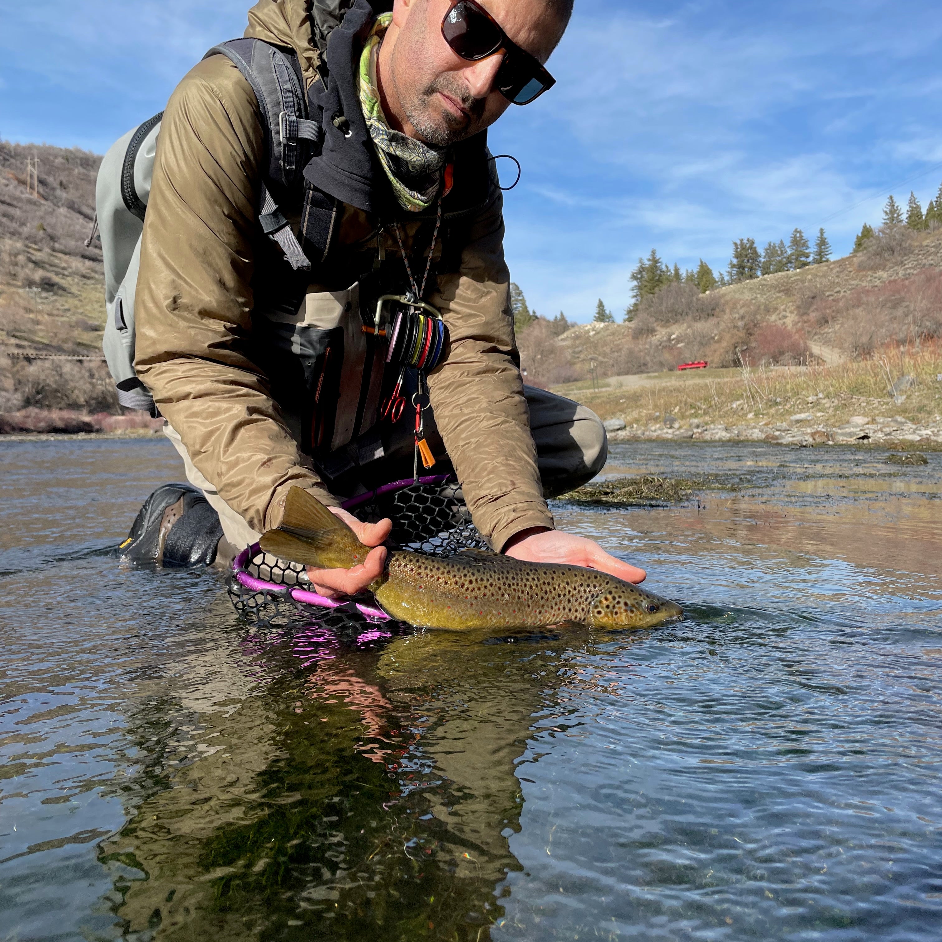 Brown Trout Caught by Christian Bacasa in the Fall