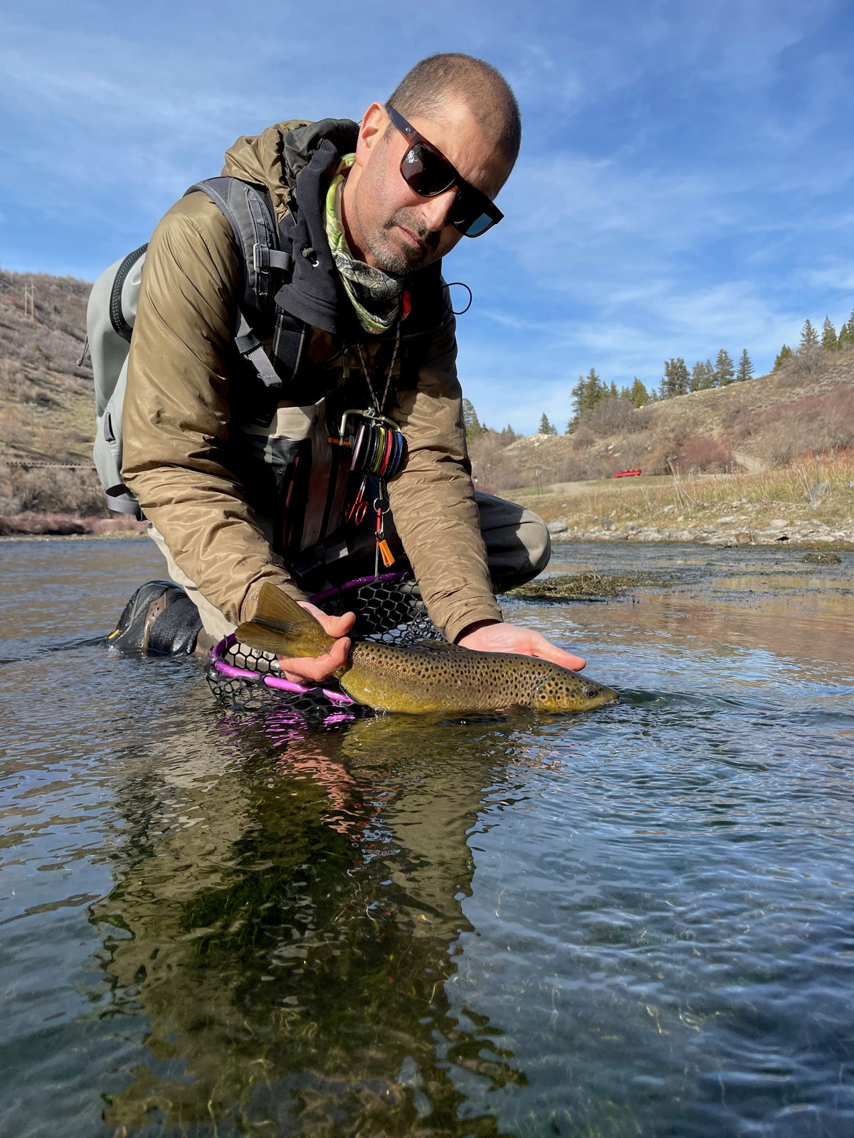 Angler kneeling in a clear river releasing a brown trout beside a landing net on a sunny fall day