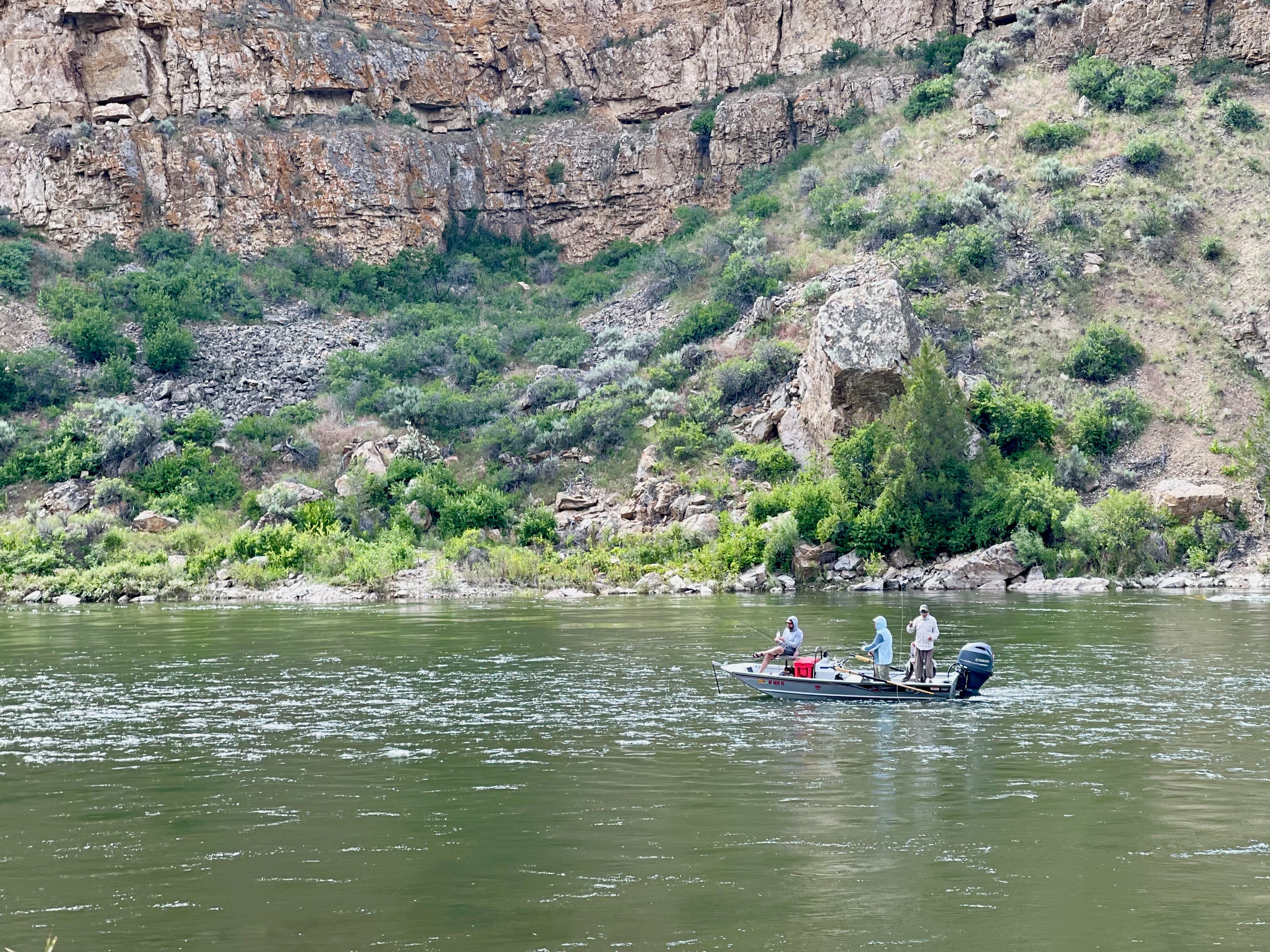 When I Started Water Loading My Casts it Changed How I Fly Fish | Fly Fishing Insider Podcast