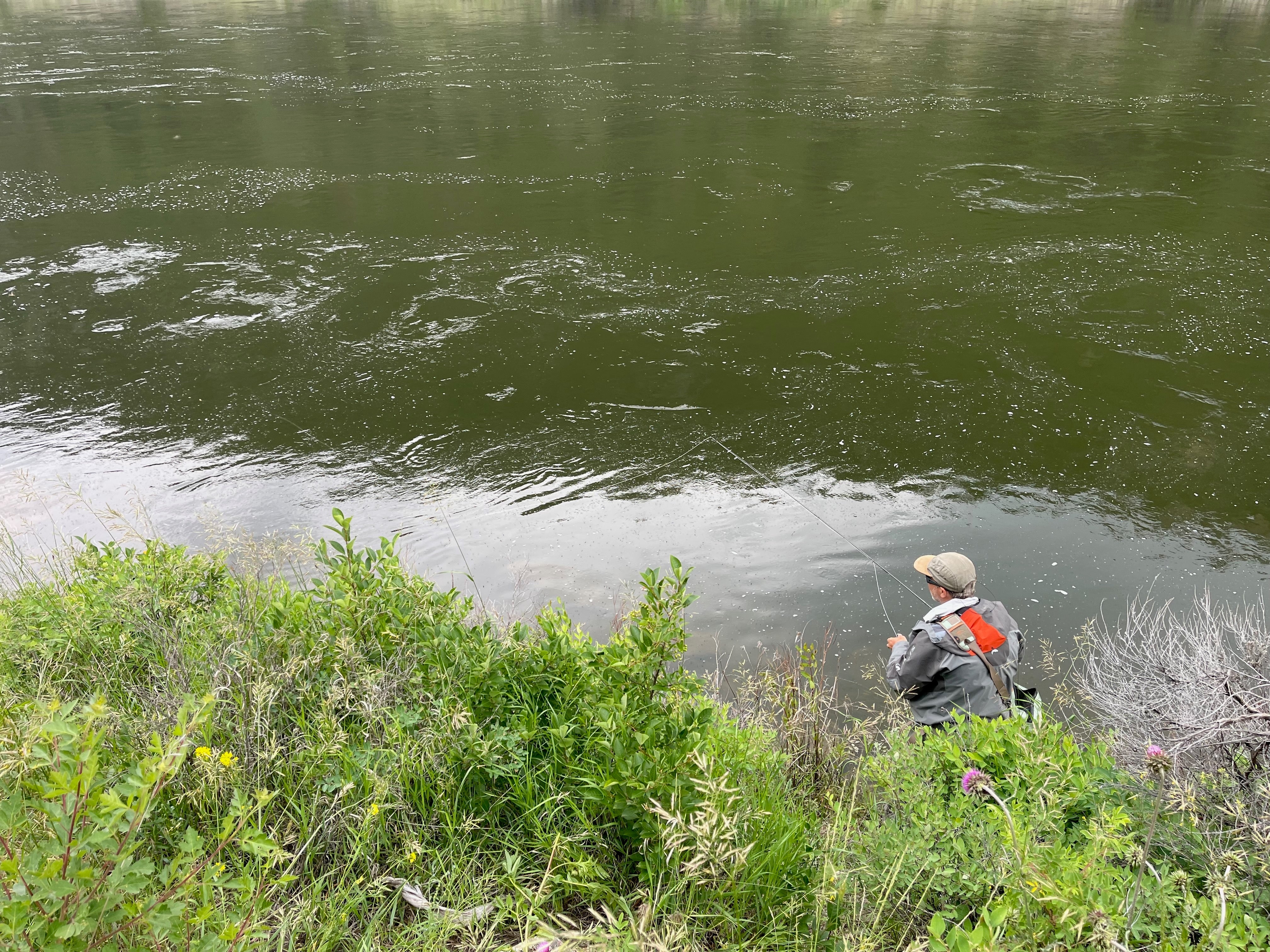 3 Ways of Analyzing Subtle Observation Indicators in Fly Fishing: An Empirical Approach | Fly Fishing Insider Podcast
