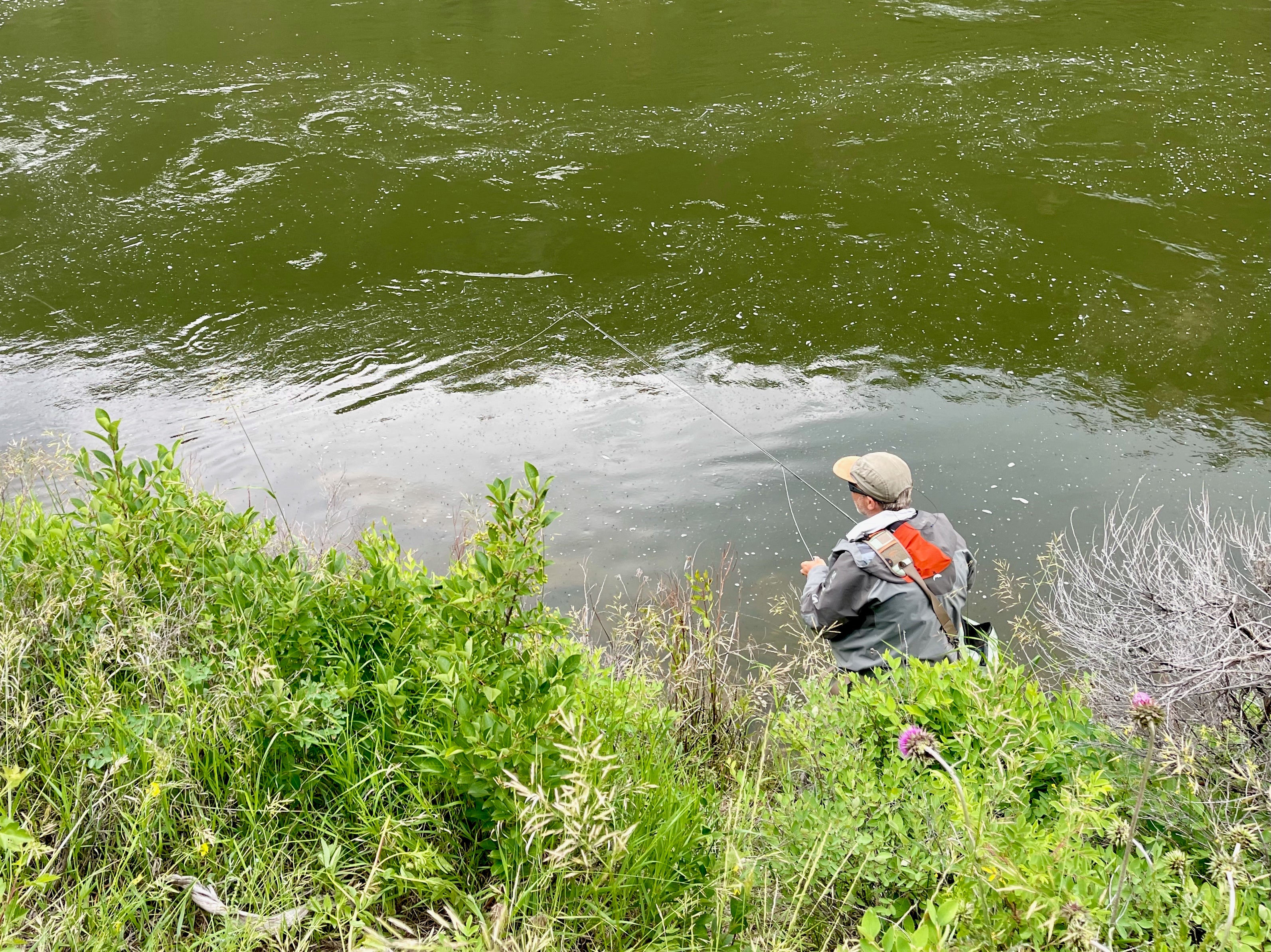When I Started Fishing a Dry Dropper the Right Way it Changed How I Fly Fish | Fly Fishing Insider Podcast