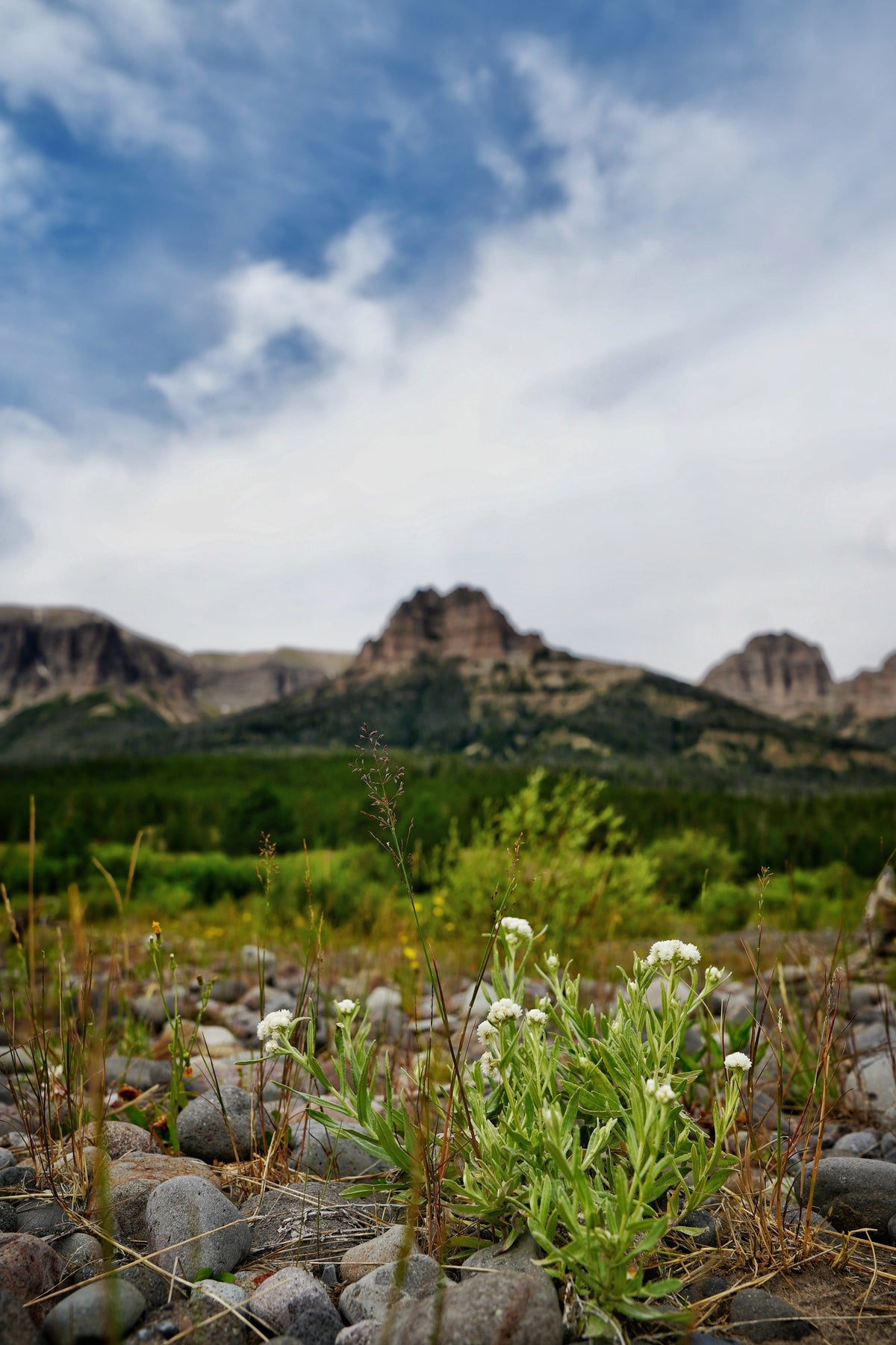 Granite spires of Idaho's Sawtooth Range standing above the timberline