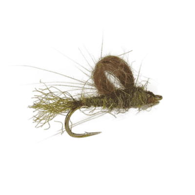 Identifying the Blue Winged Olive (BWO) Fly and Hatch | Fly Fishing Insider Podcast
