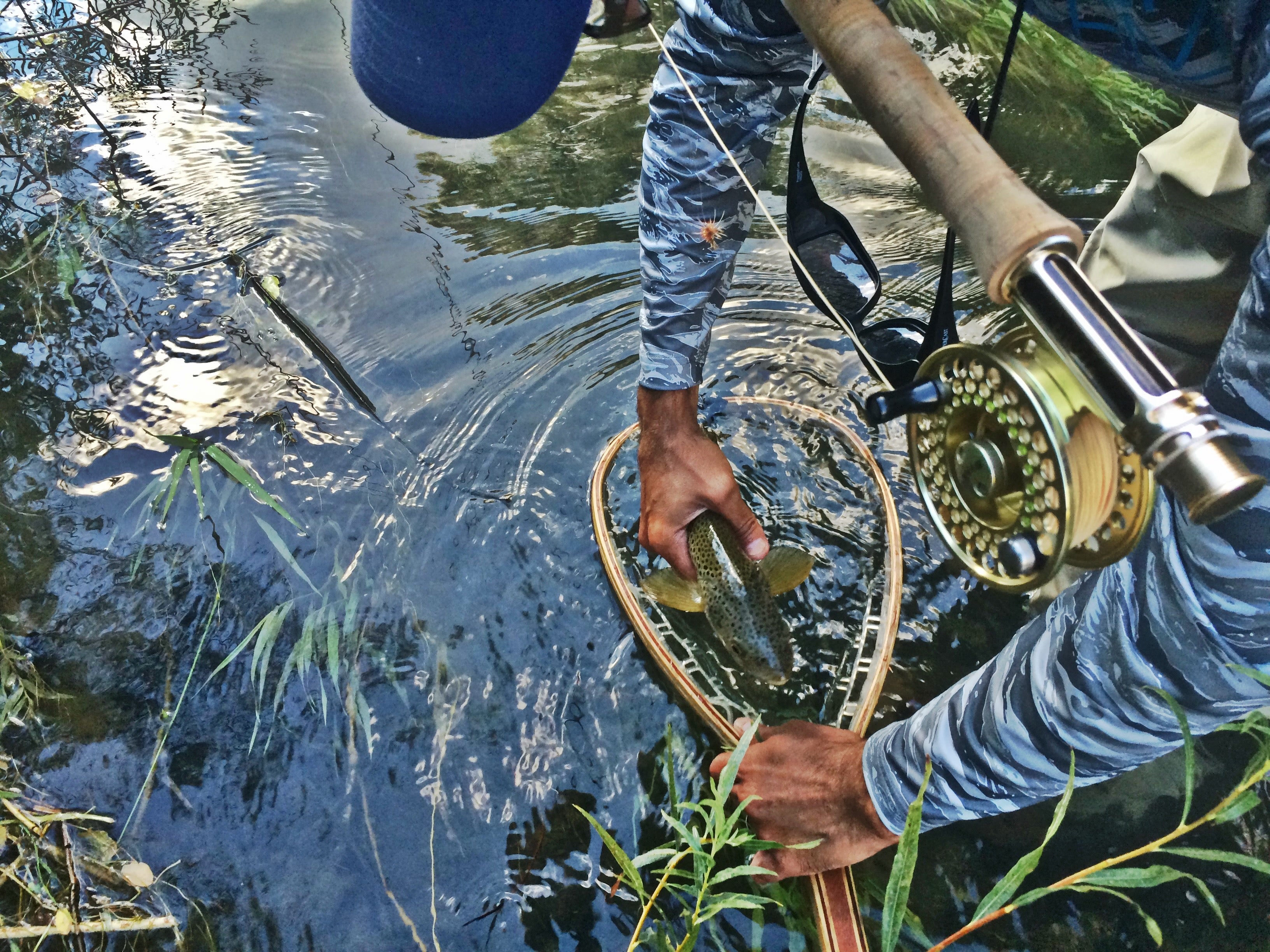 Cheeky Fly Fishing Reels