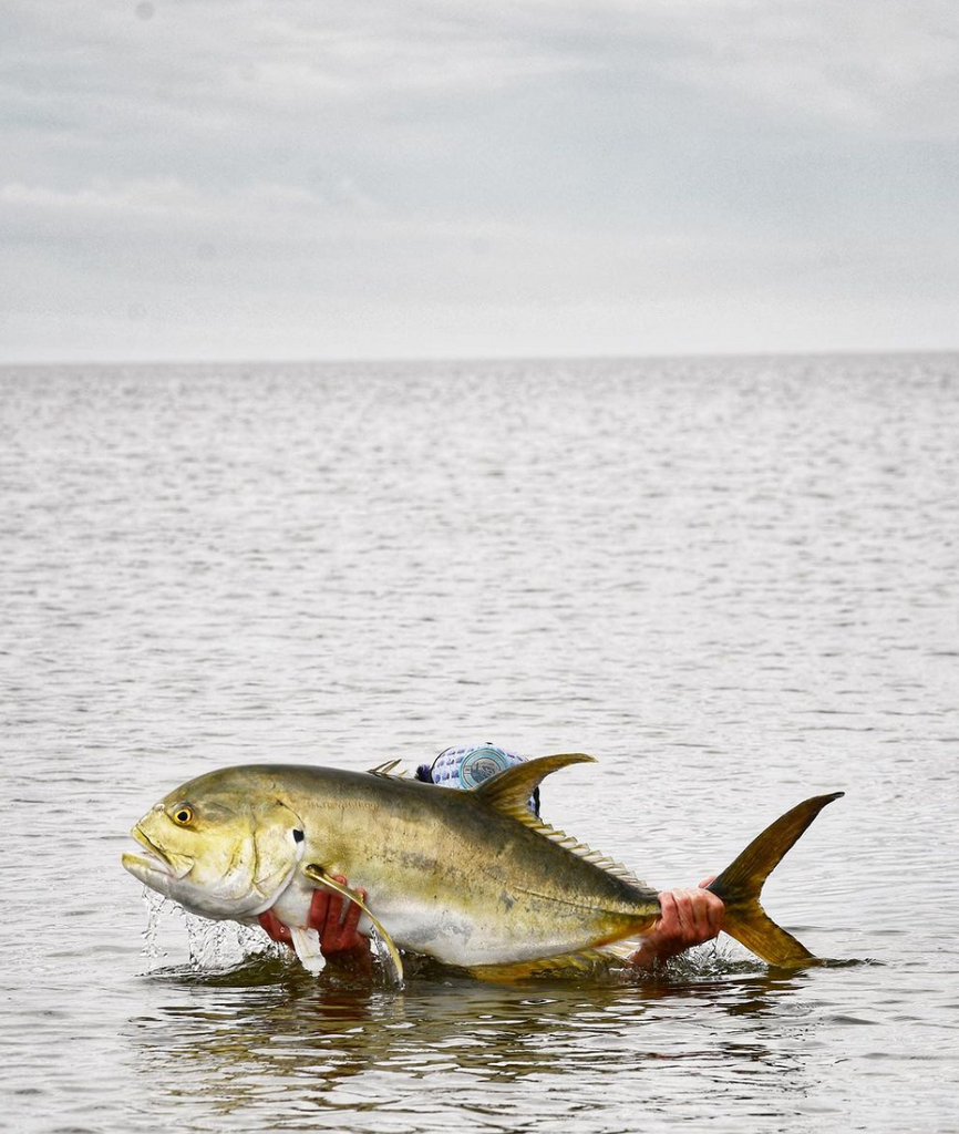 Fly Fishing for Crevalle Jack Fly Fishing Insider Podcast