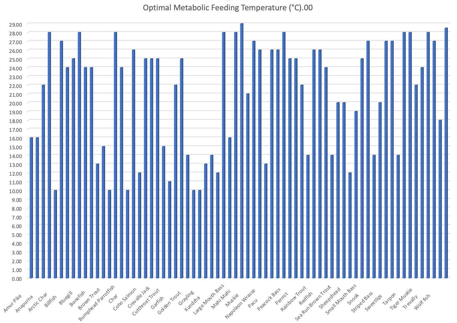 Metabolic Feeding Temperature for Fly Fishing