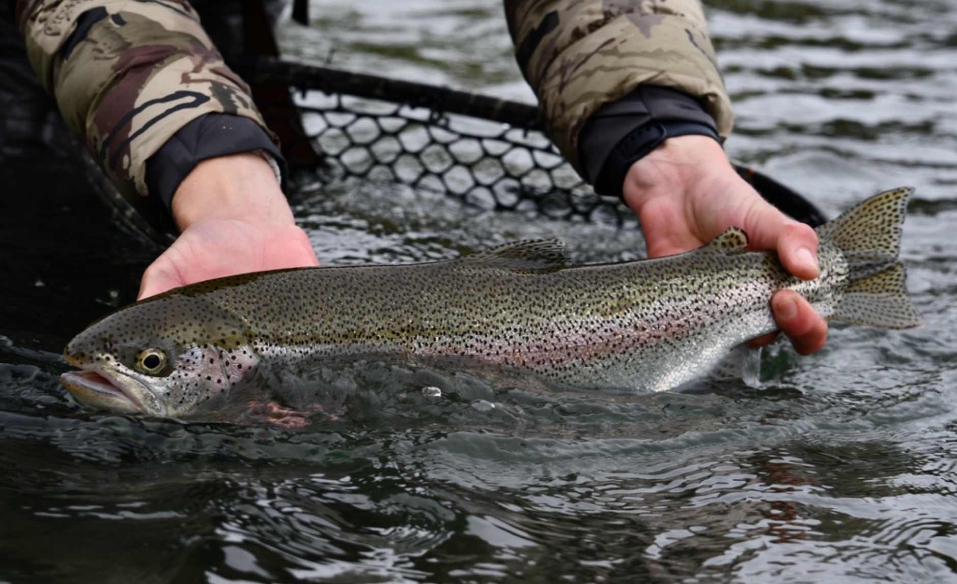 Fly Fishing Etiquette