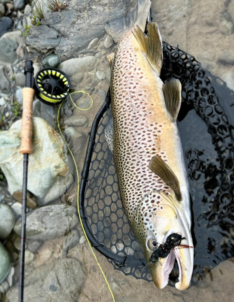 Streamers for Trout