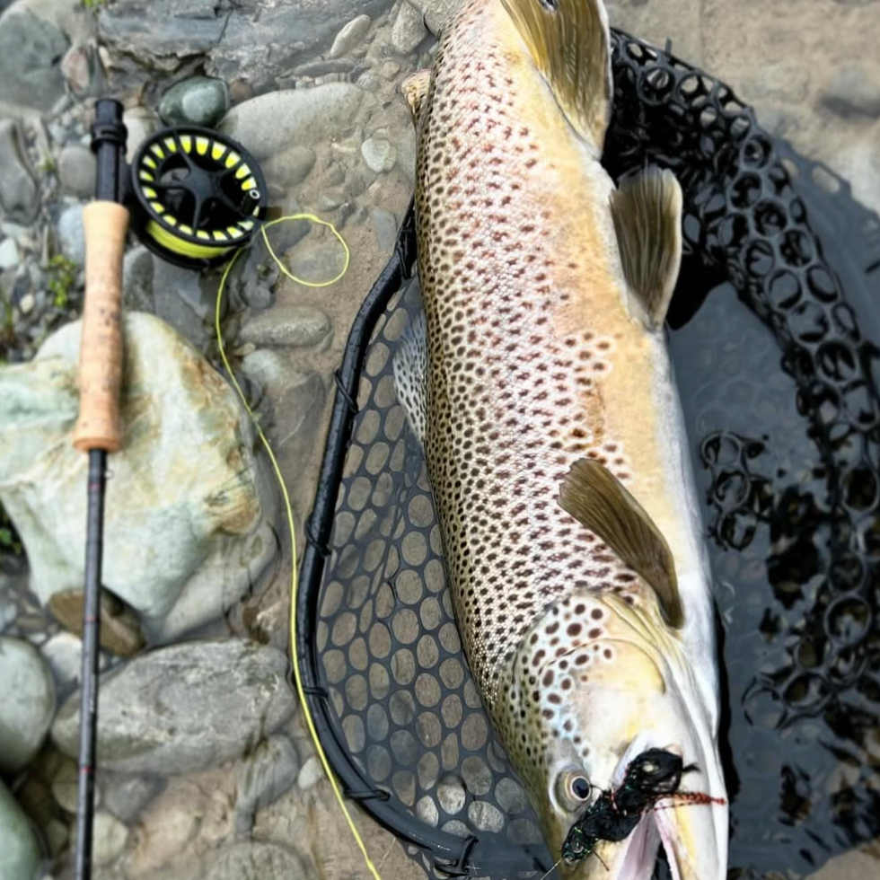 Streamers for Trout
