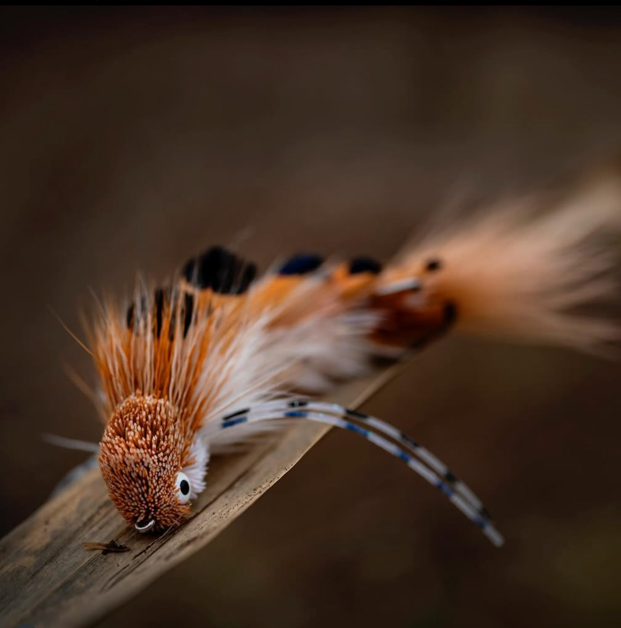 Articulated Streamer Mastery: Modern Jointed Patterns for Lifelike Action | Fly Fishing Insider Podcast, Blog and Shop