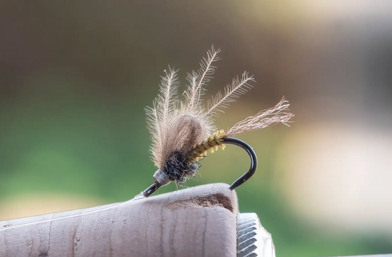 Emerger Fly Fishing