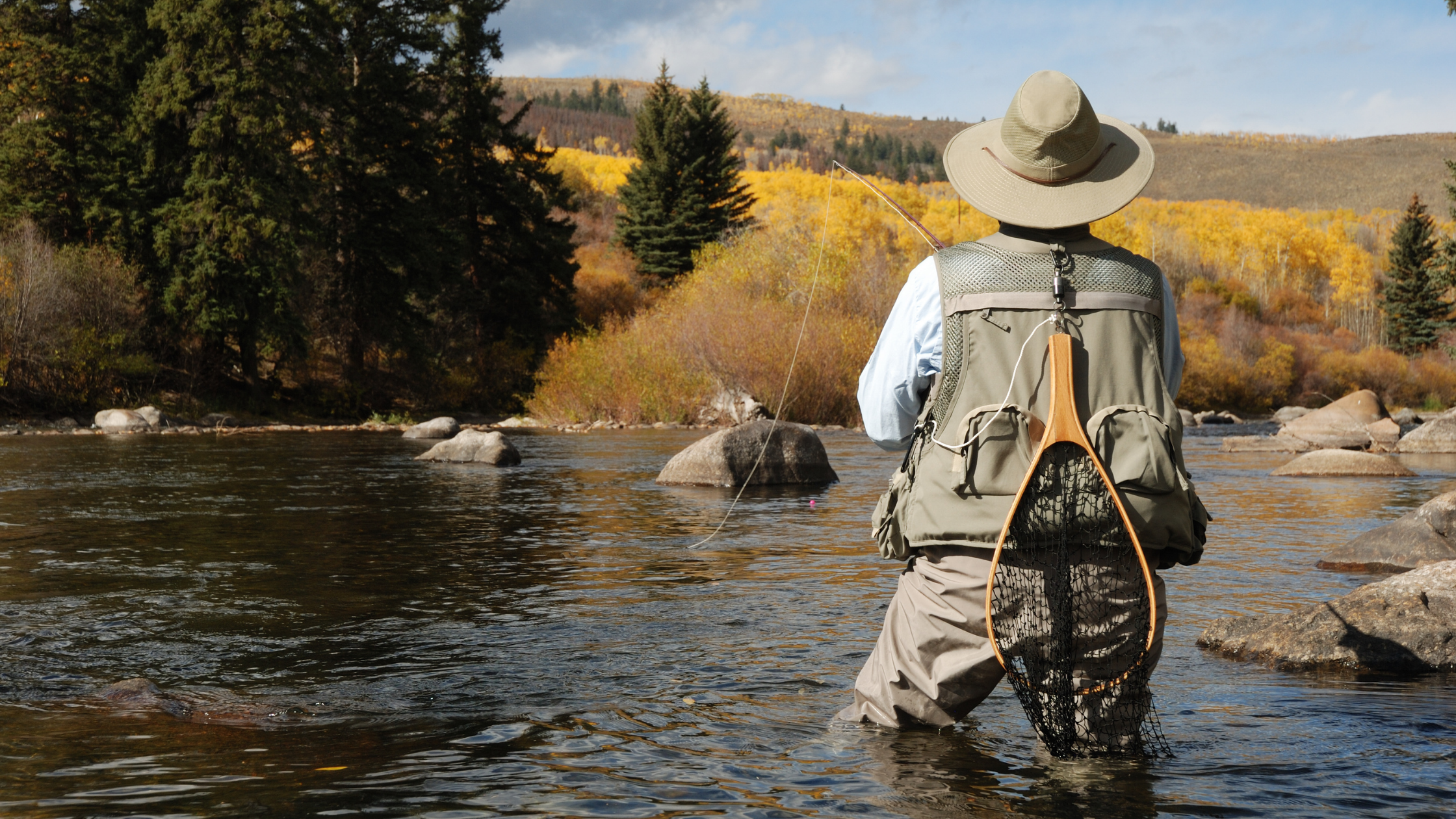 Seasonal Fly Fishing - Match the hatch