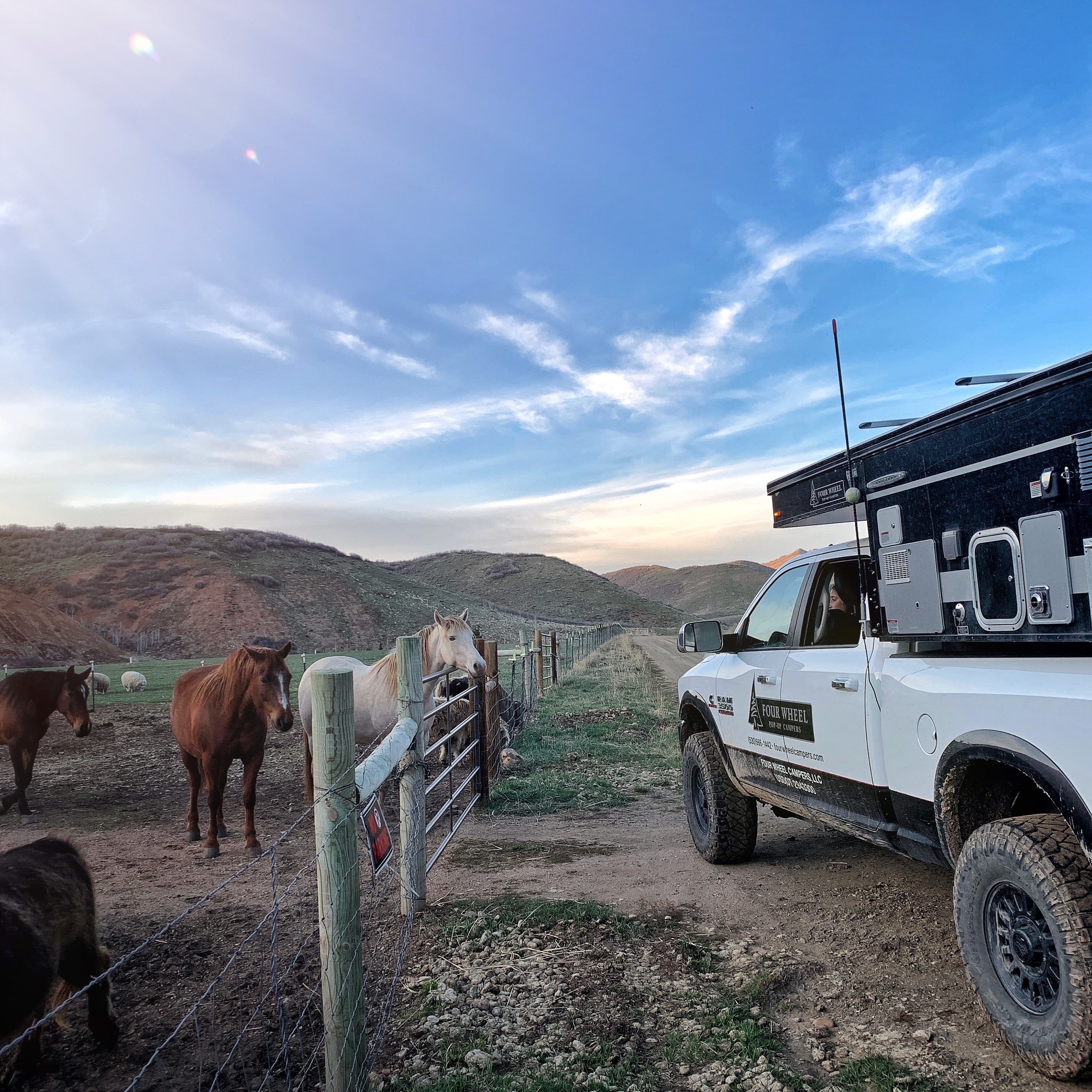 Overlanding rig meeting a rancher's horses on a Utah canyon road